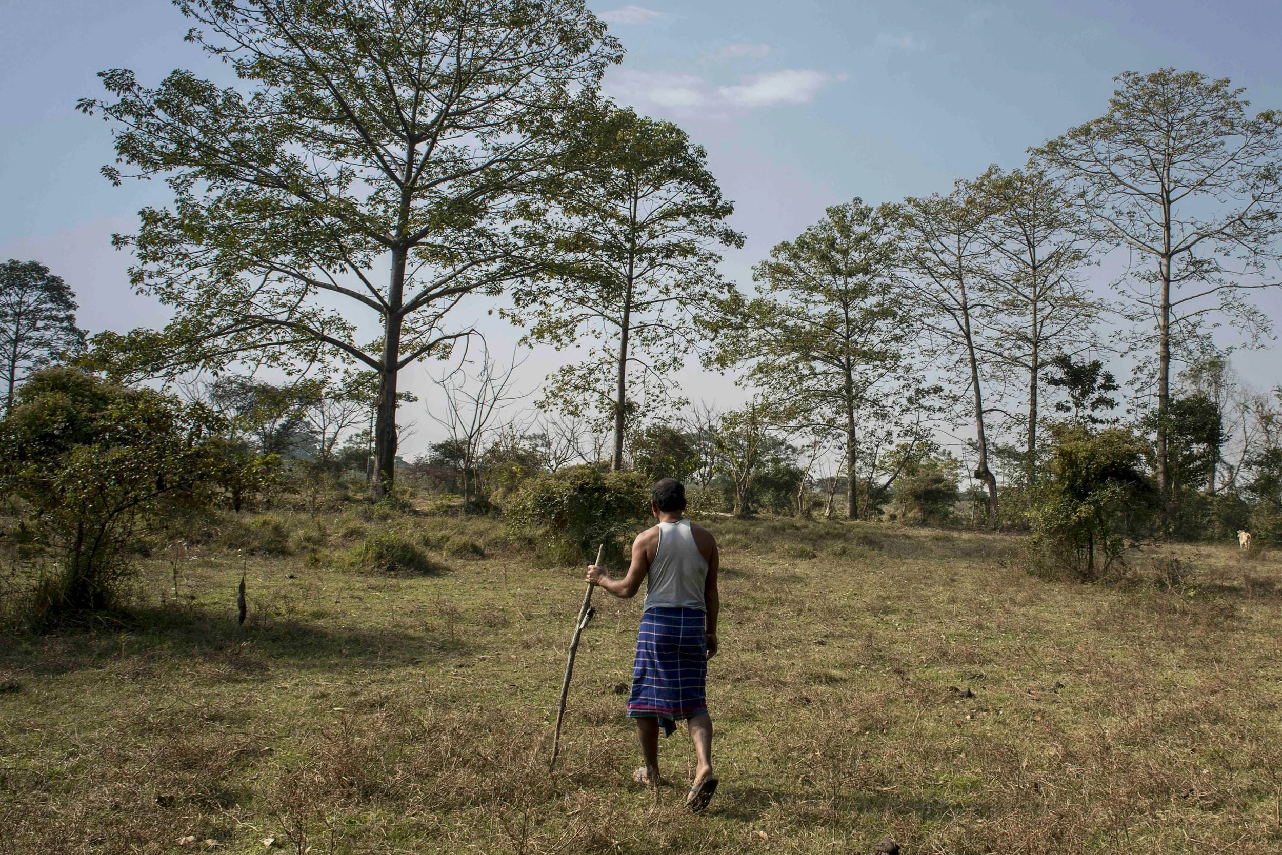 %0DMulai at the outskirts of his forest.%0D%0DMulai ai bordi della sua foresta.jpeg