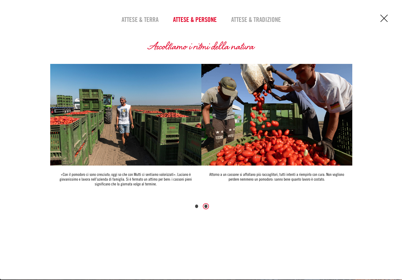 Schermata 2018-03-04 alle 17.47.14.png