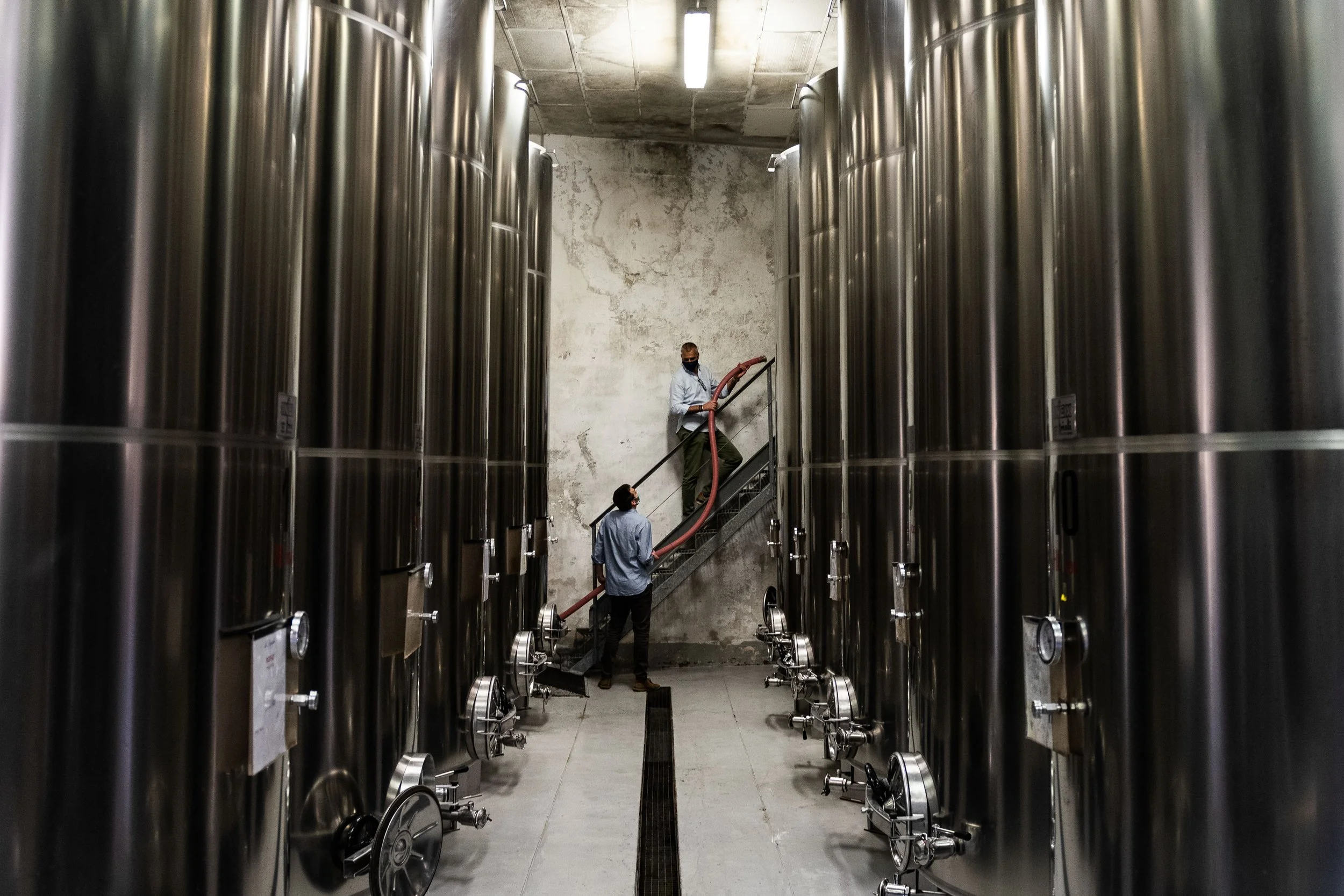 Wine maker Di Lenardo Cellar005.jpg