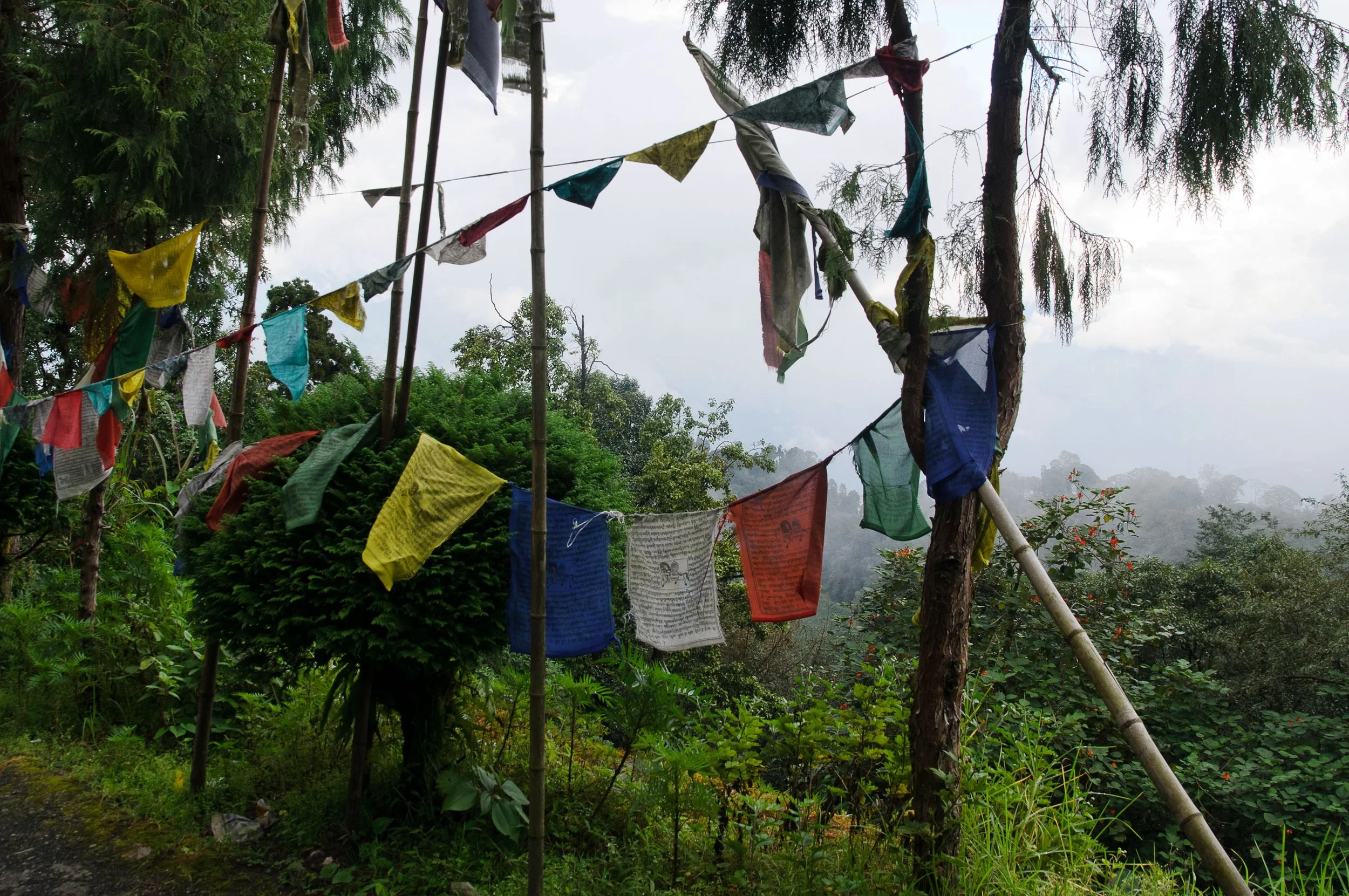 The Lama of Darjeeling_Into The Silence(ph_CarloBevilacqua)_3.jpeg