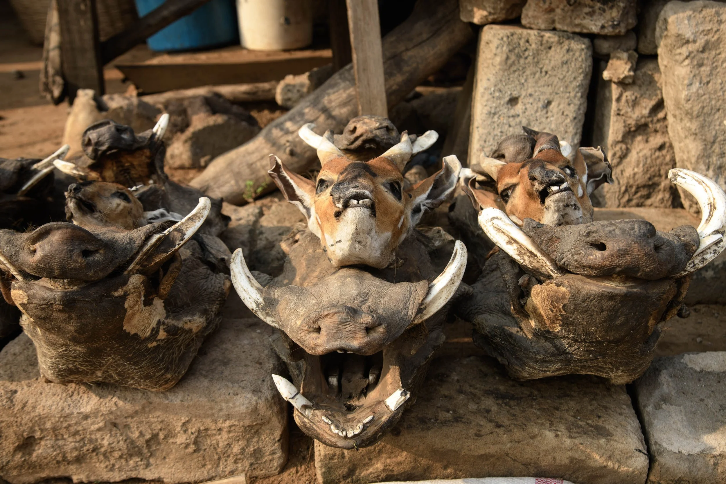 Lomè Togo -Mercato Feticci_024.jpeg