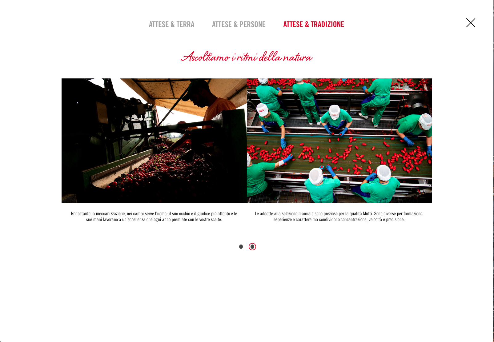 Schermata 2018-03-04 alle 17.48.59.png