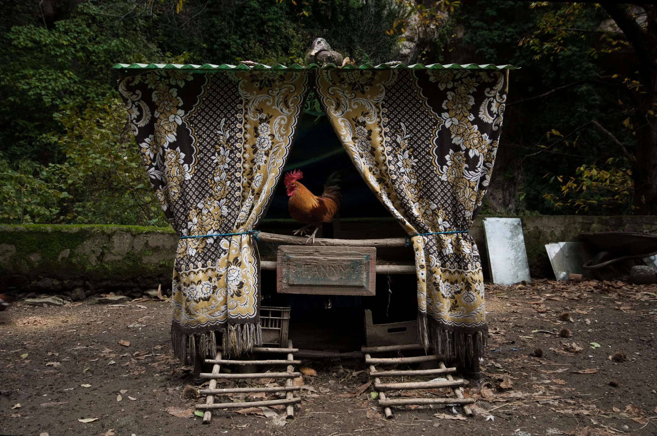 Gianni_Hermit For Love_Into The Silence(ph_CarloBevilacqua)_2.jpeg