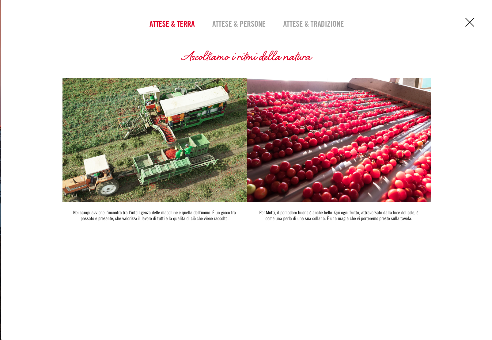 Schermata 2018-03-04 alle 17.48.26.png