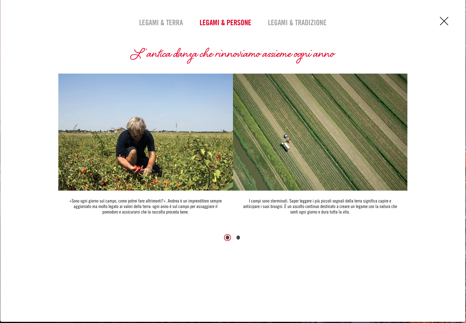 Schermata 2018-03-04 alle 17.55.48.png