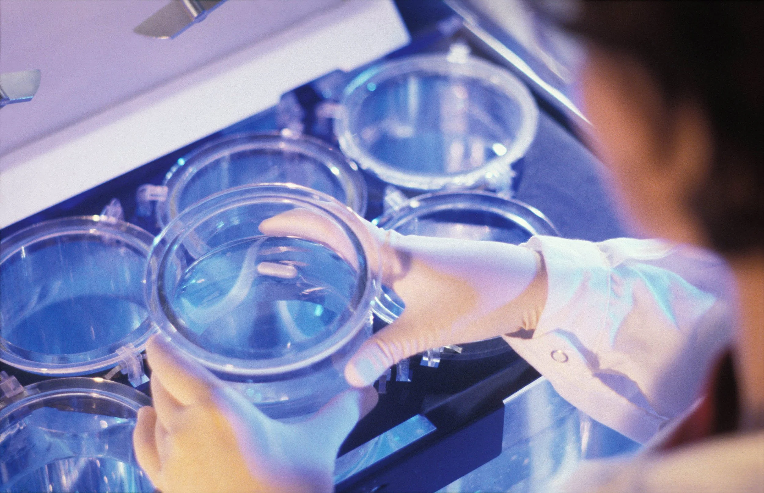 Cosmo Famaceuticals009.jpg