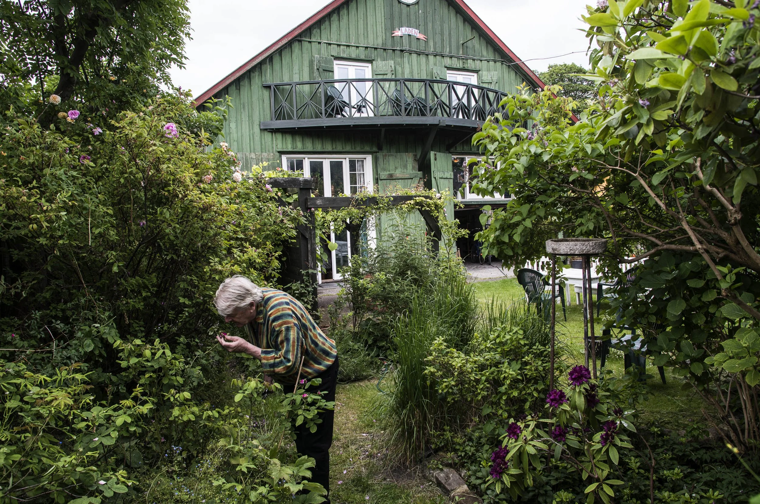   it was a half-ruined hut on a waste and bare land.jpeg