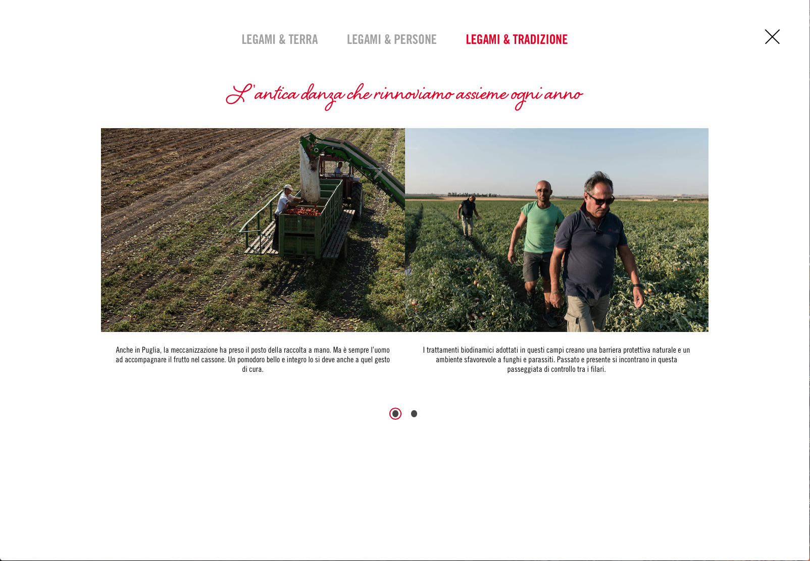 Schermata 2018-03-04 alle 17.59.11.png