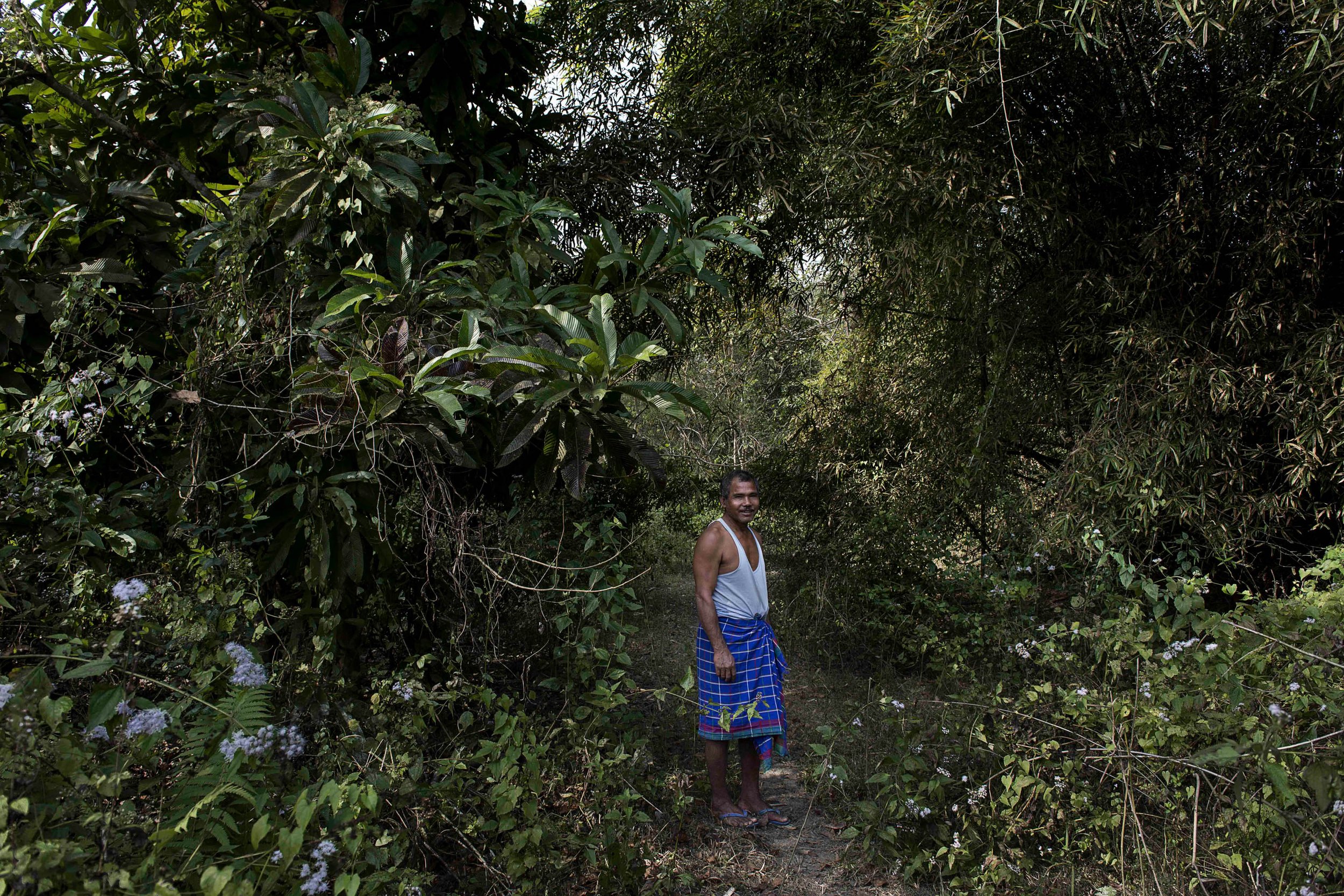 %0D%0D%0DMulai in the midst of his single-handed reforestation%0D%0DMulai circondato dalla foresta piantata con le sue mani_02.jpeg