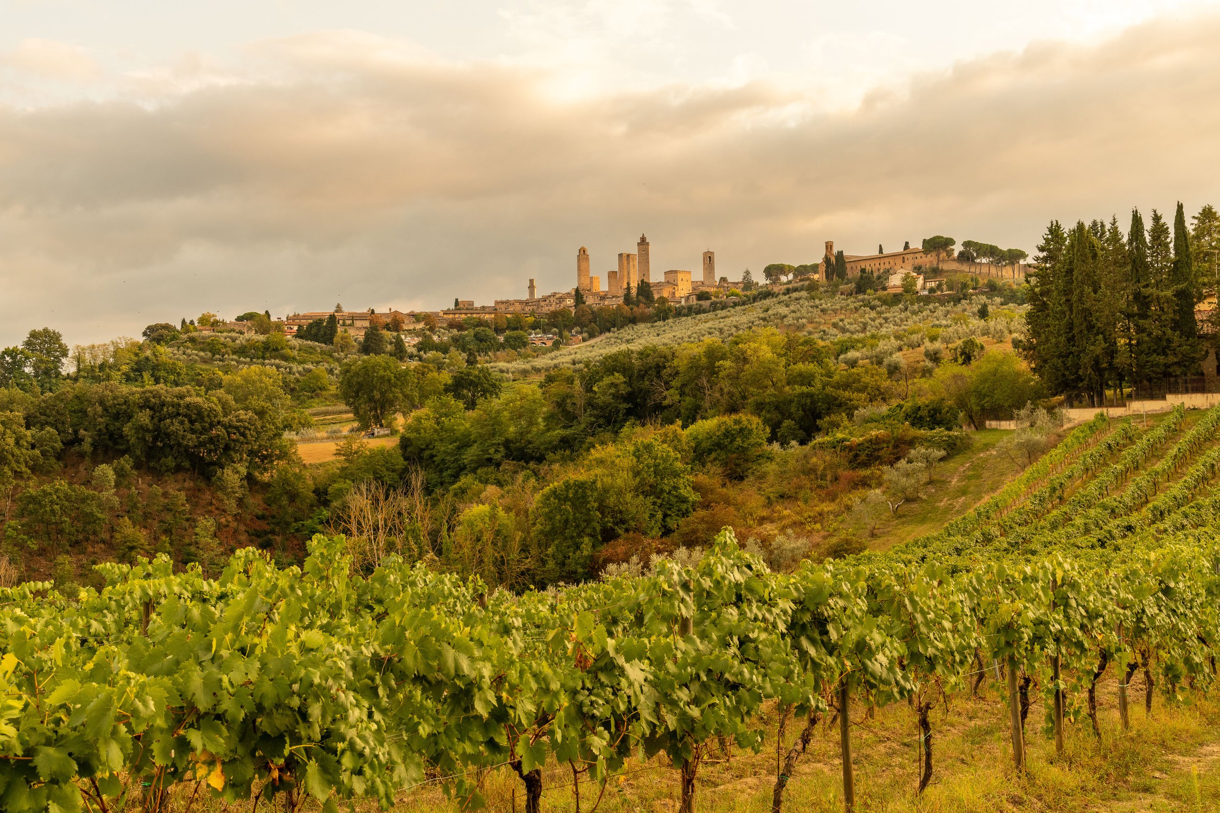 Toscana_0106_3000.jpg