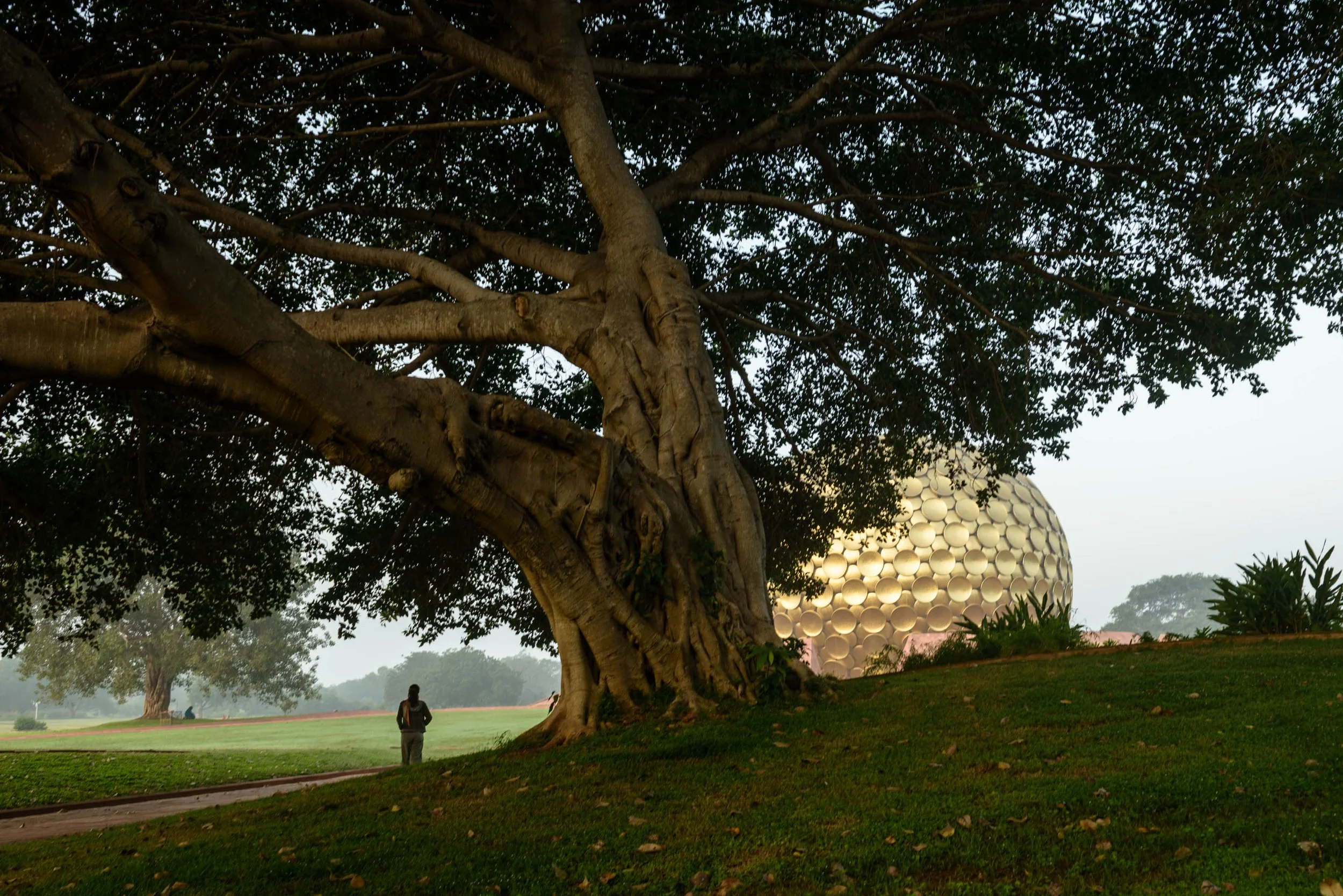 Auroville_Matrimandir_169.jpeg