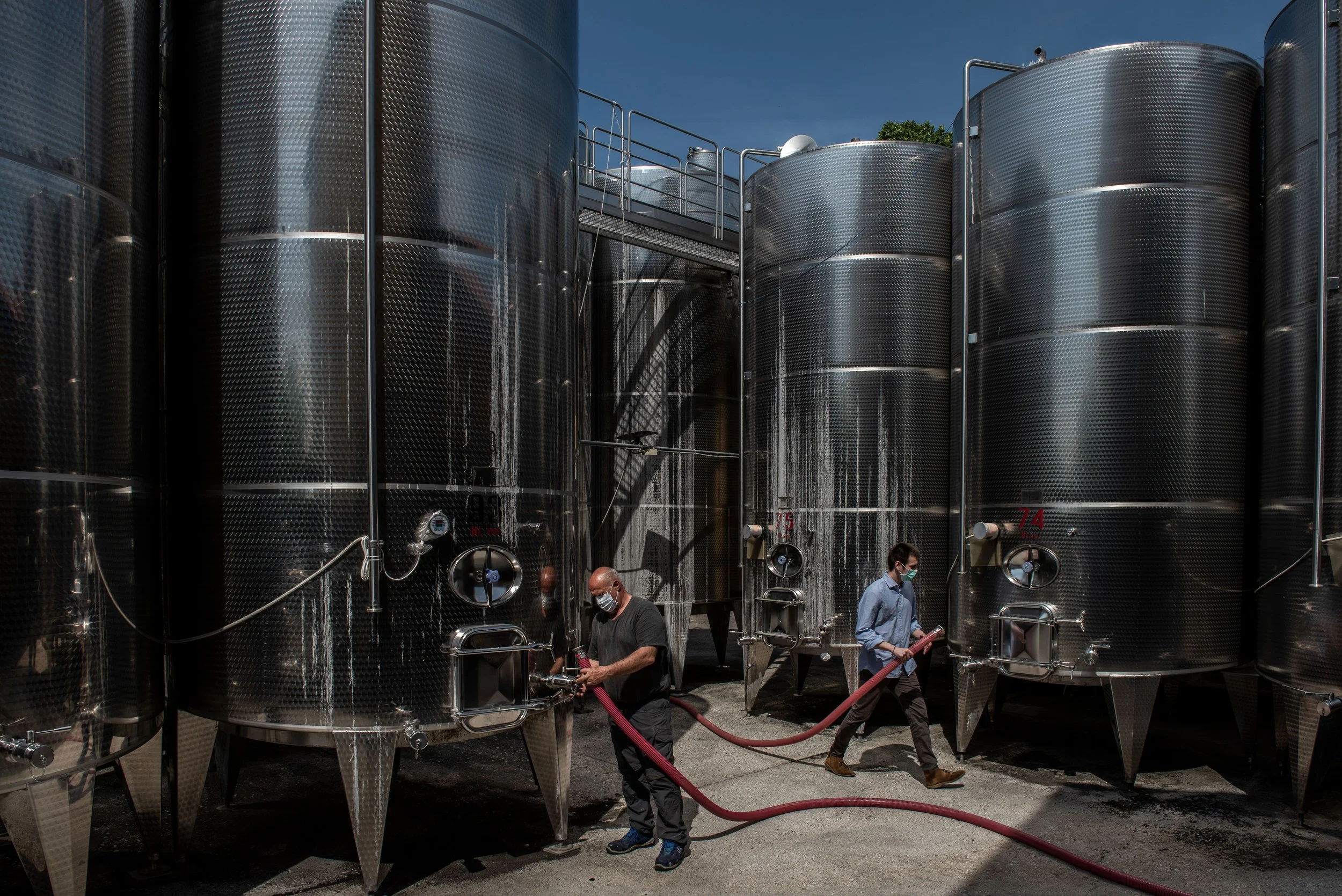 Wine maker Di Lenardo Cellar004.jpg