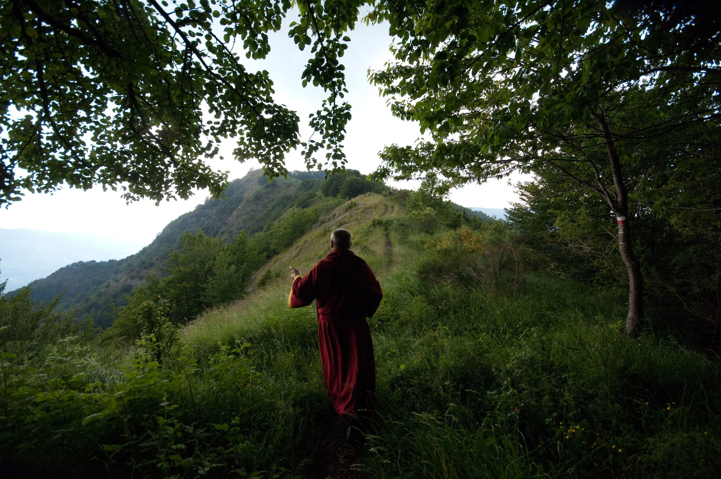 Goffredo The Taoist Franciscan - Into The Silence.jpeg