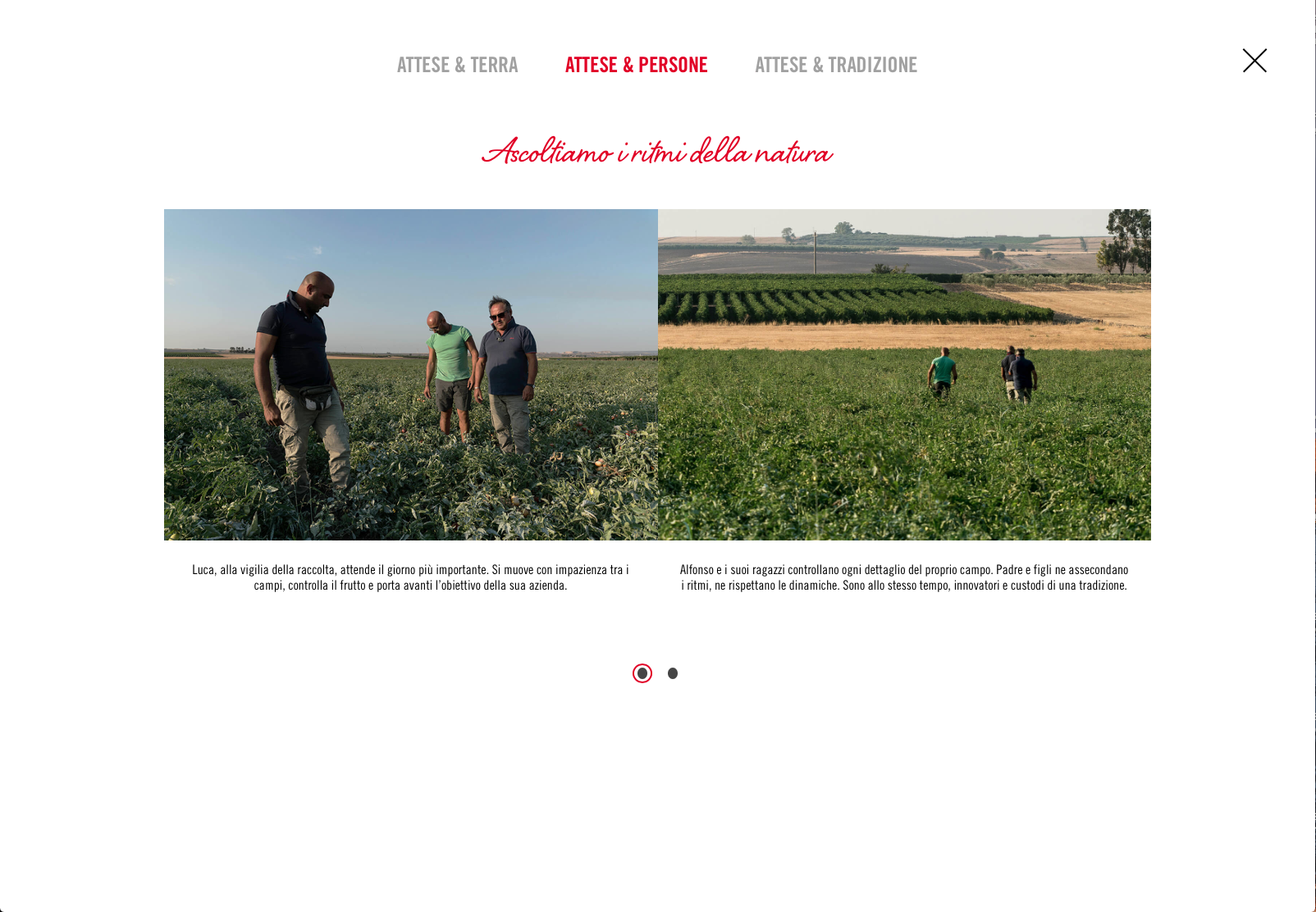 Schermata 2018-03-04 alle 17.47.26.png