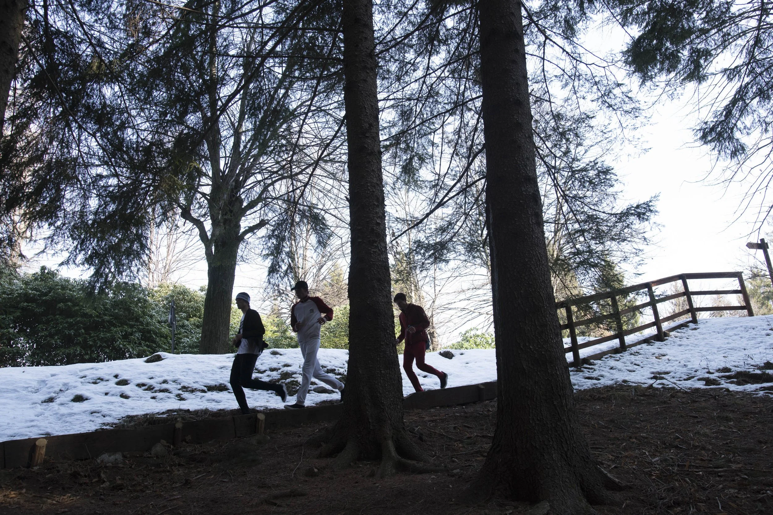 Trivero Bosco_Digital_0461 -.jpg