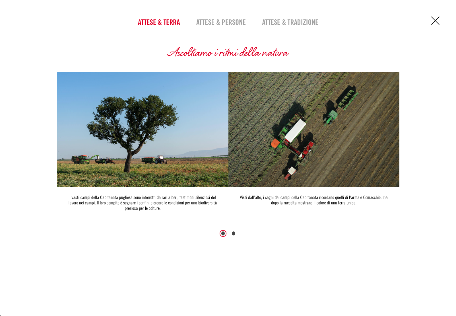 Schermata 2018-03-04 alle 17.47.36.png