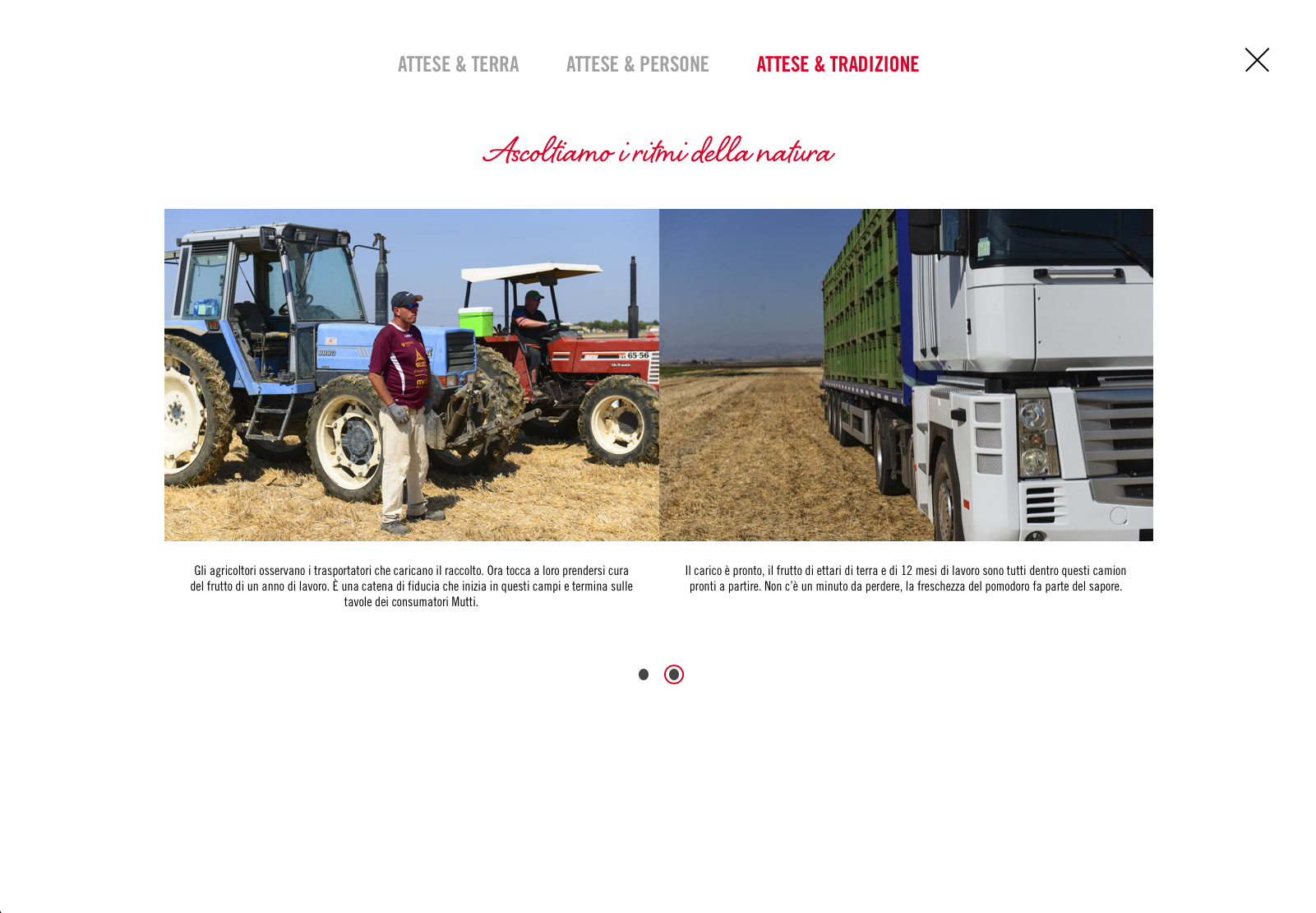 Schermata 2018-03-04 alle 17.46.50.png