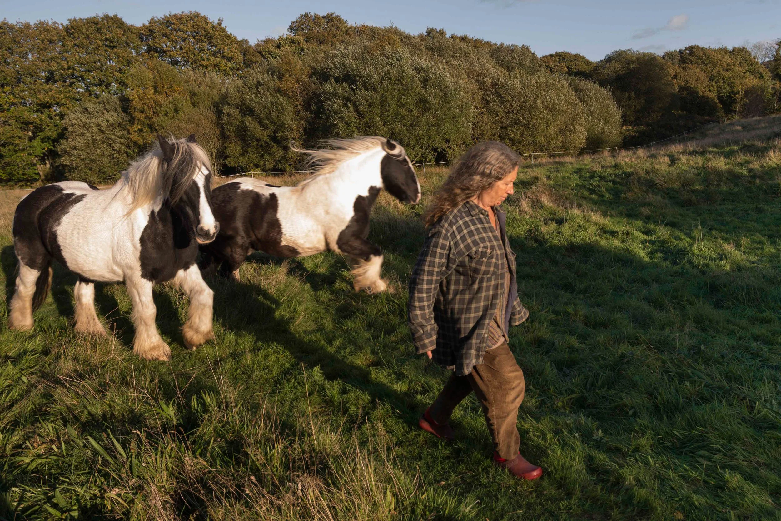 Tir Ysbrydol - Spirit Land_042.jpeg