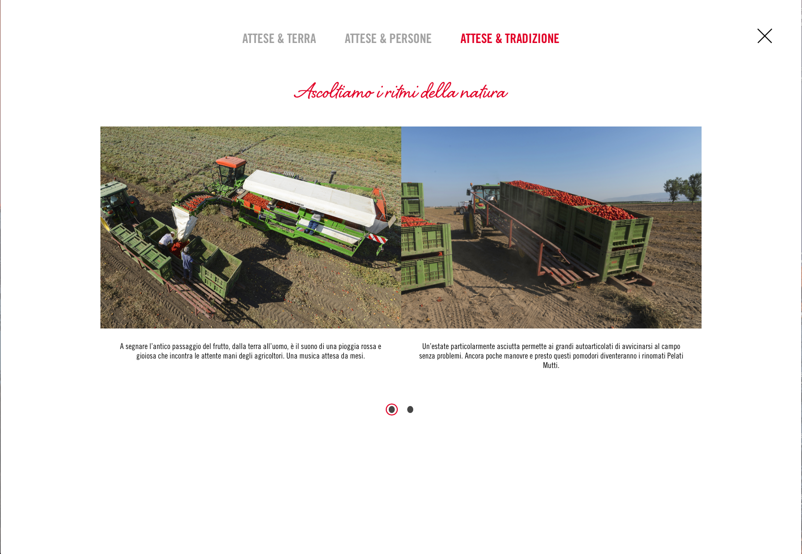 Schermata 2018-03-04 alle 17.47.00.png