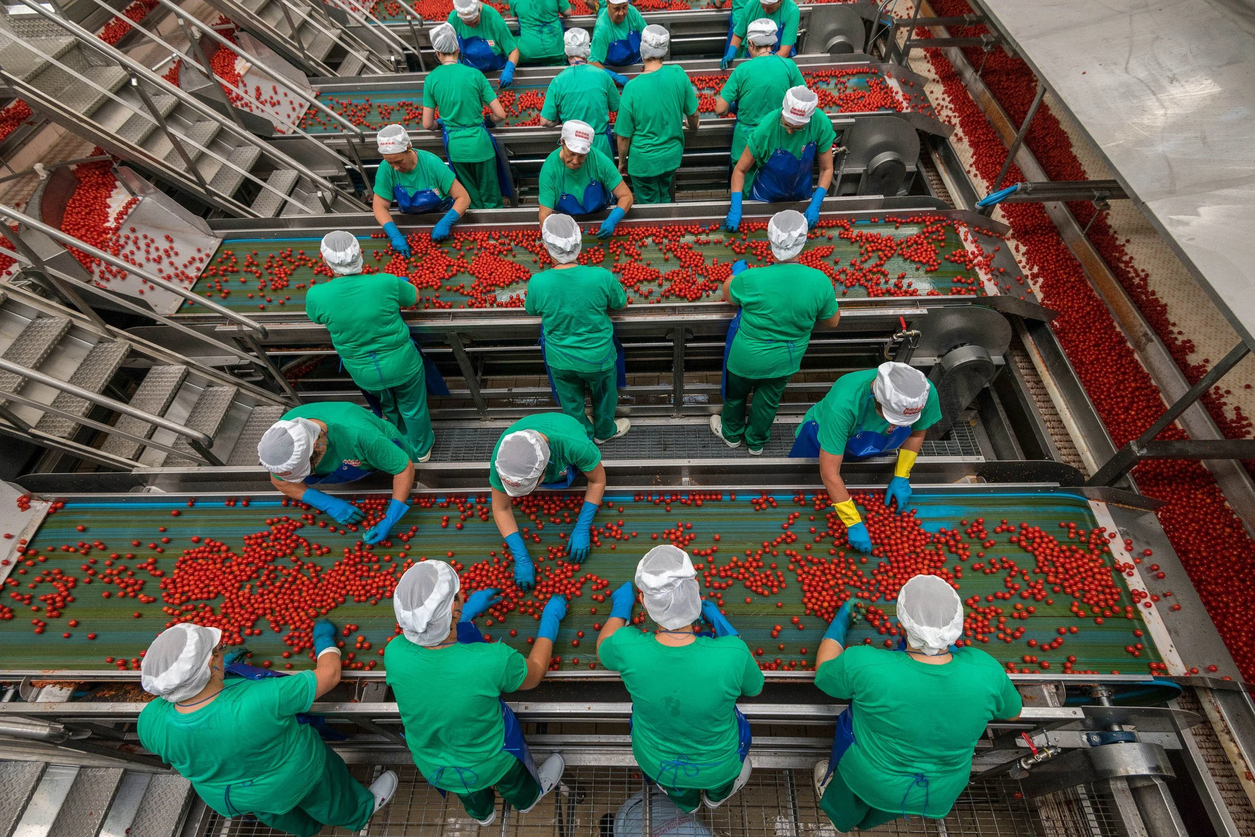 Tomato Industry 03.jpg