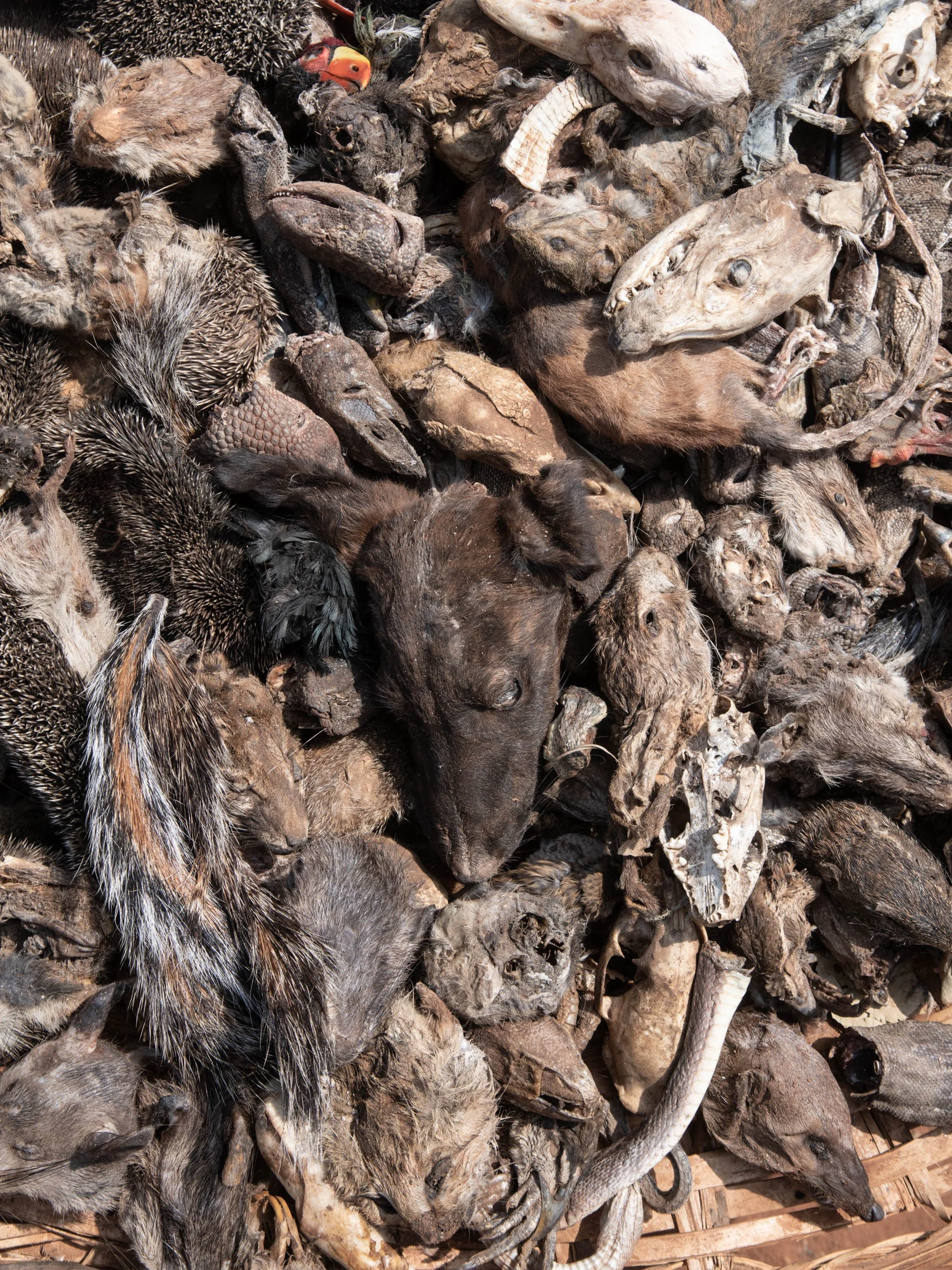 Mercato Feticci Boichon 17 Gen 2025_0005.jpeg