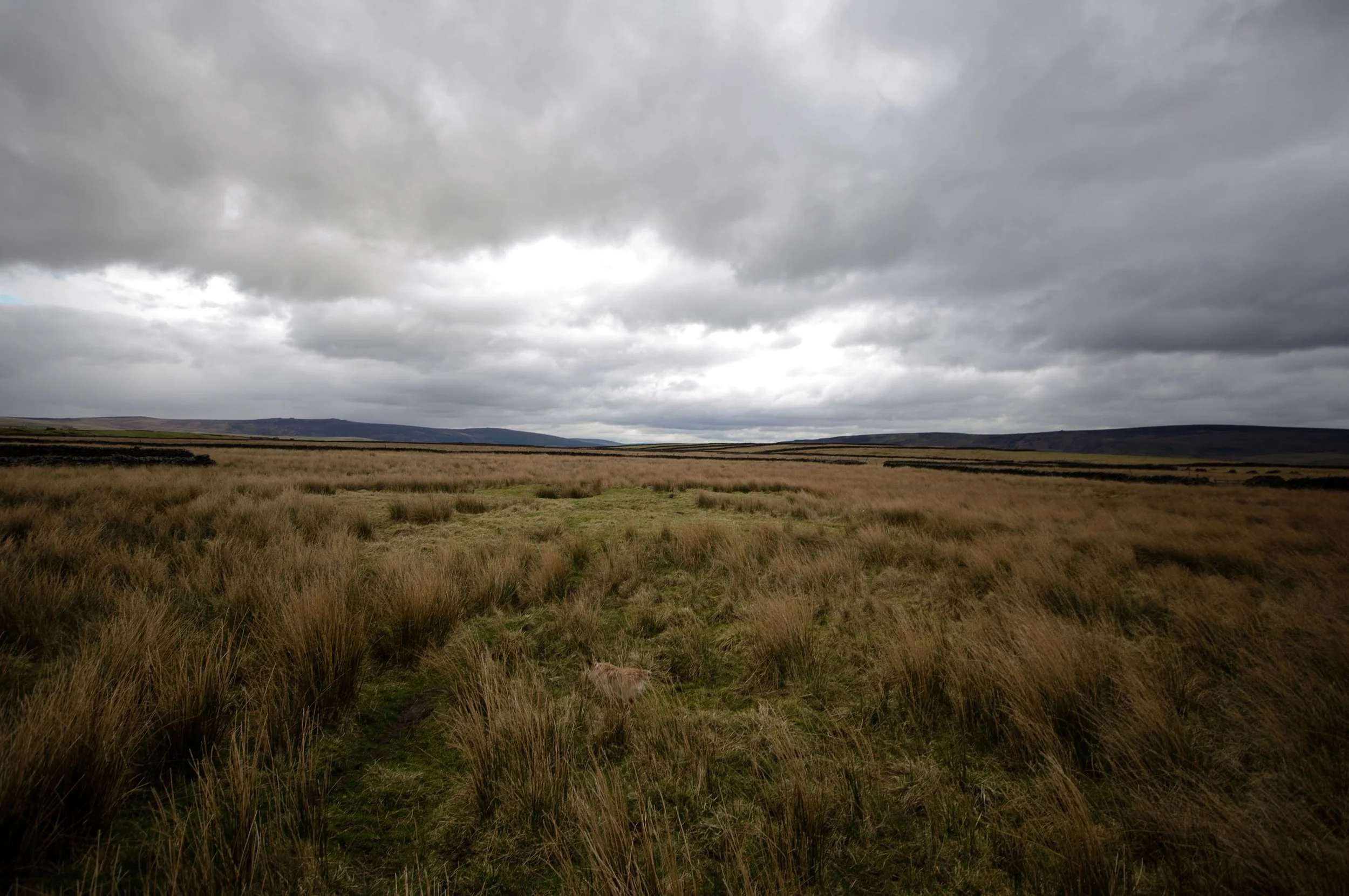 sue A Former Police Woman_Into The Silence(ph_CarloBevilacqua)_3.jpeg