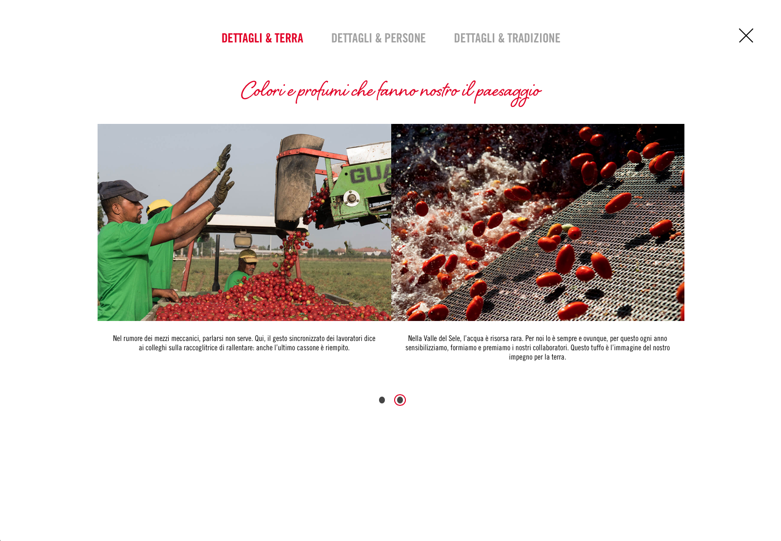 Schermata 2018-03-04 alle 17.49.59.png