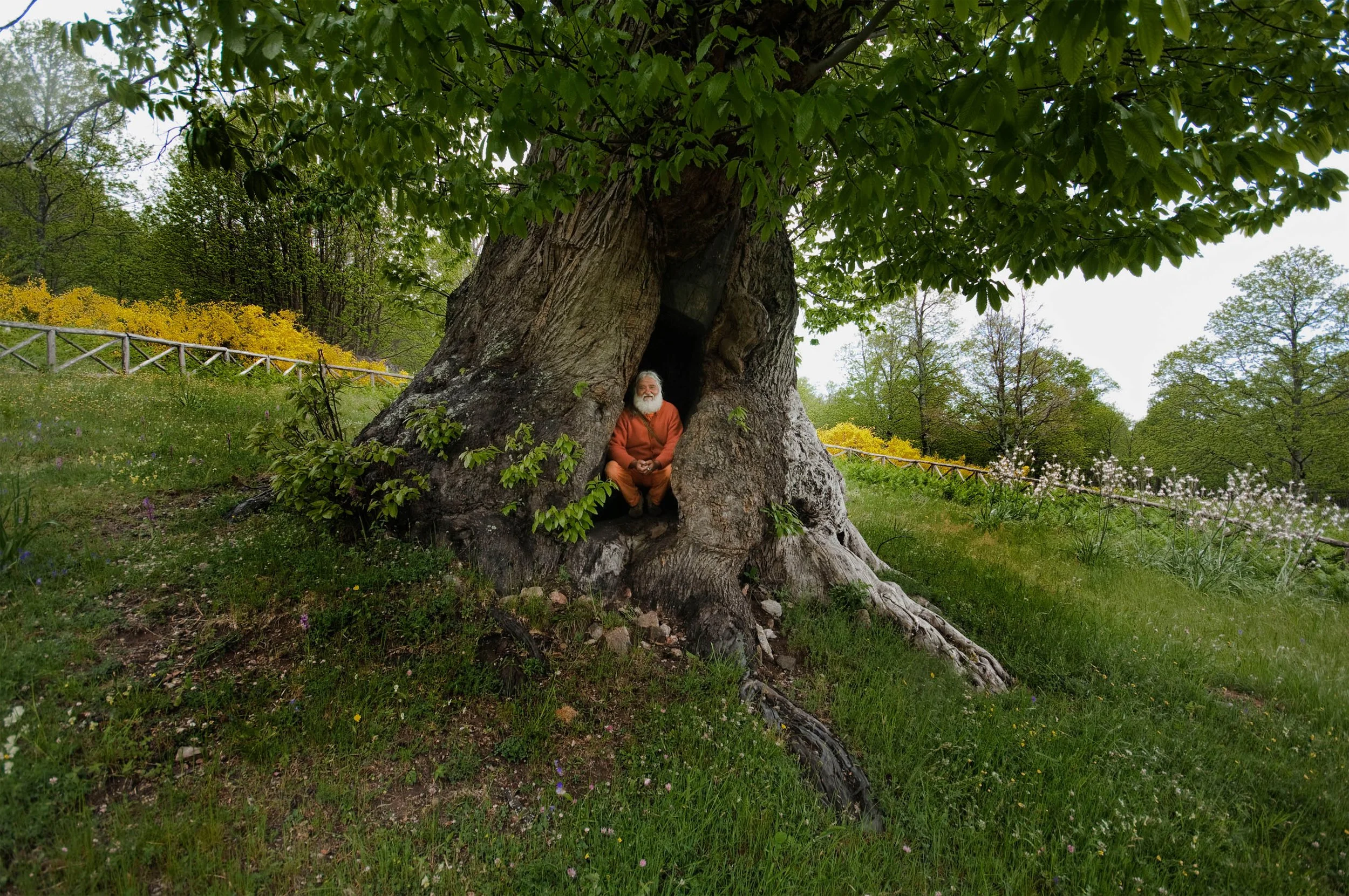 Atmananda The Swami - Into The Silence.jpg