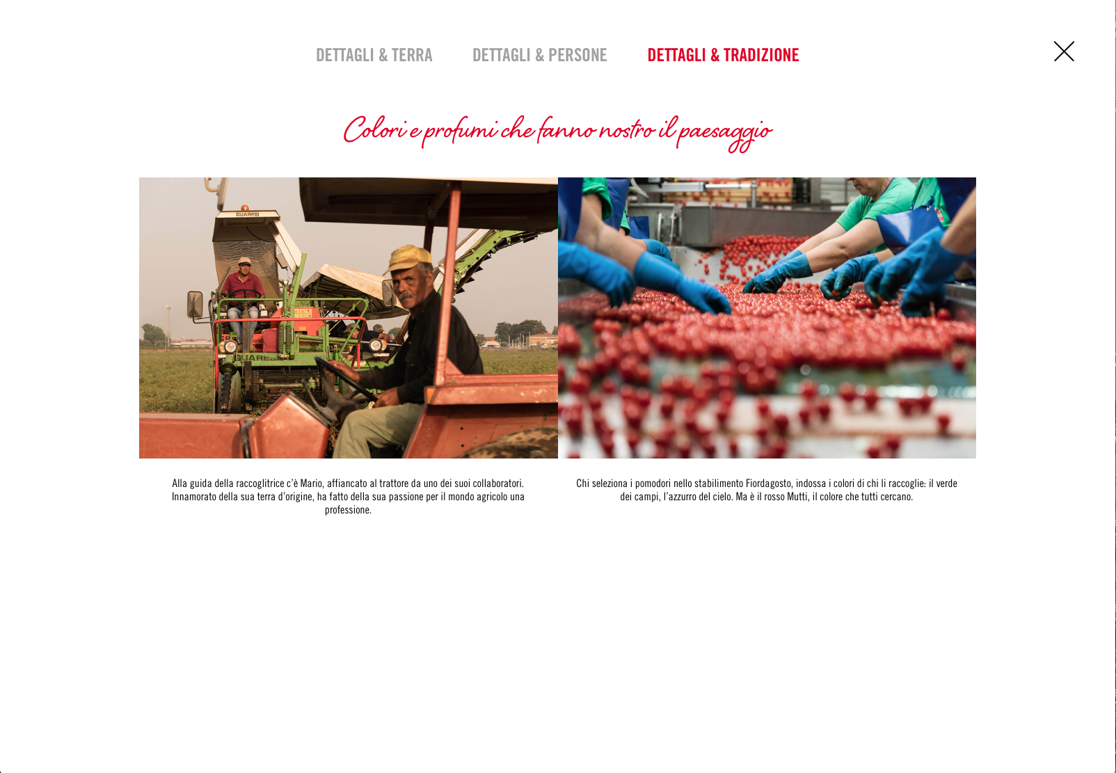 Schermata 2018-03-04 alle 17.50.18.png