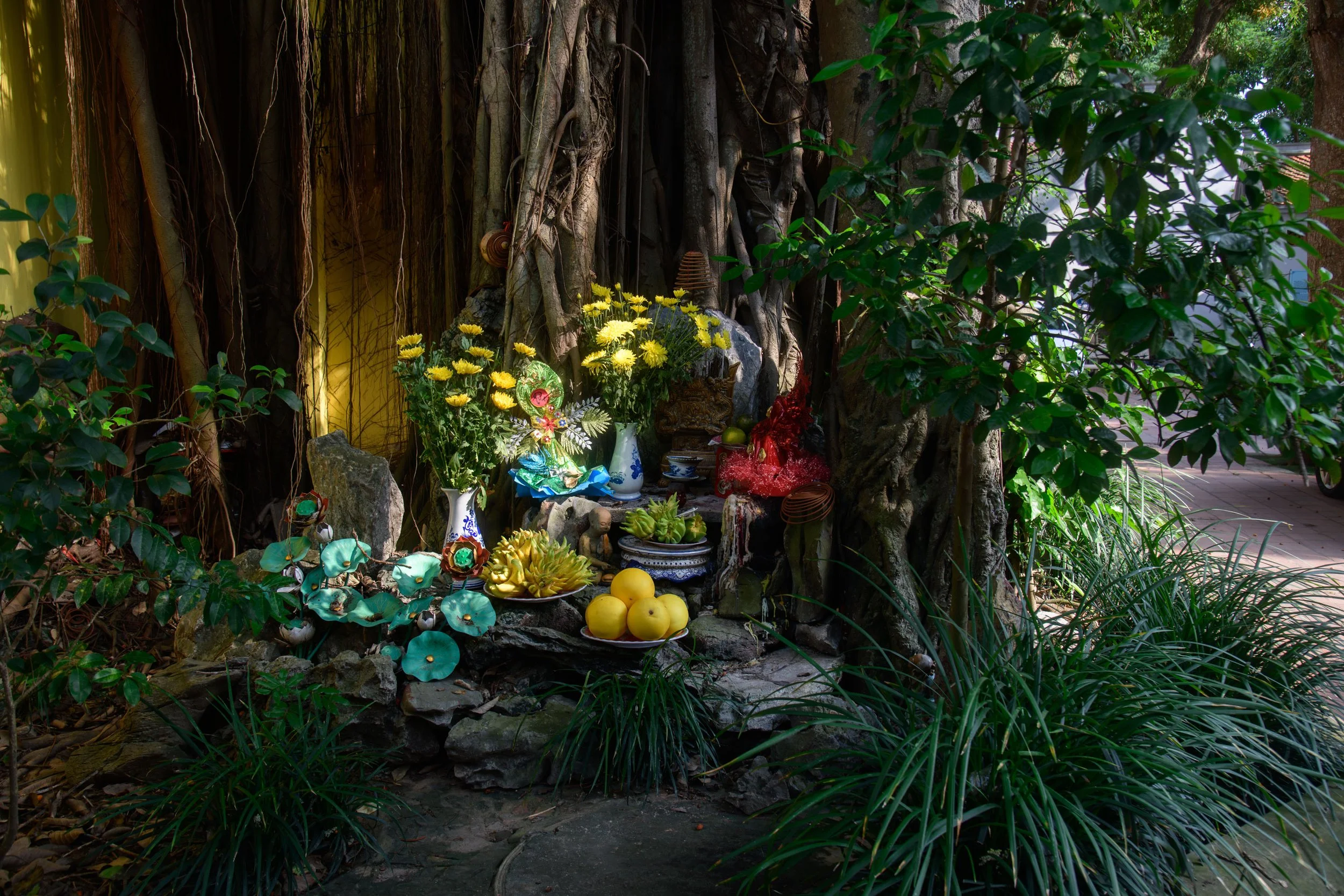 Dao_Mau_011_Sacred tree_DSC8439.jpg
