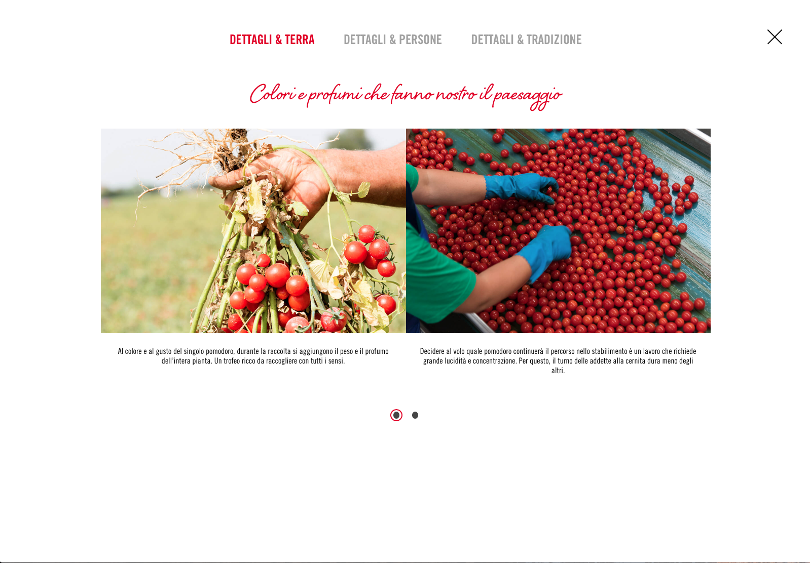 Schermata 2018-03-04 alle 17.49.48.png