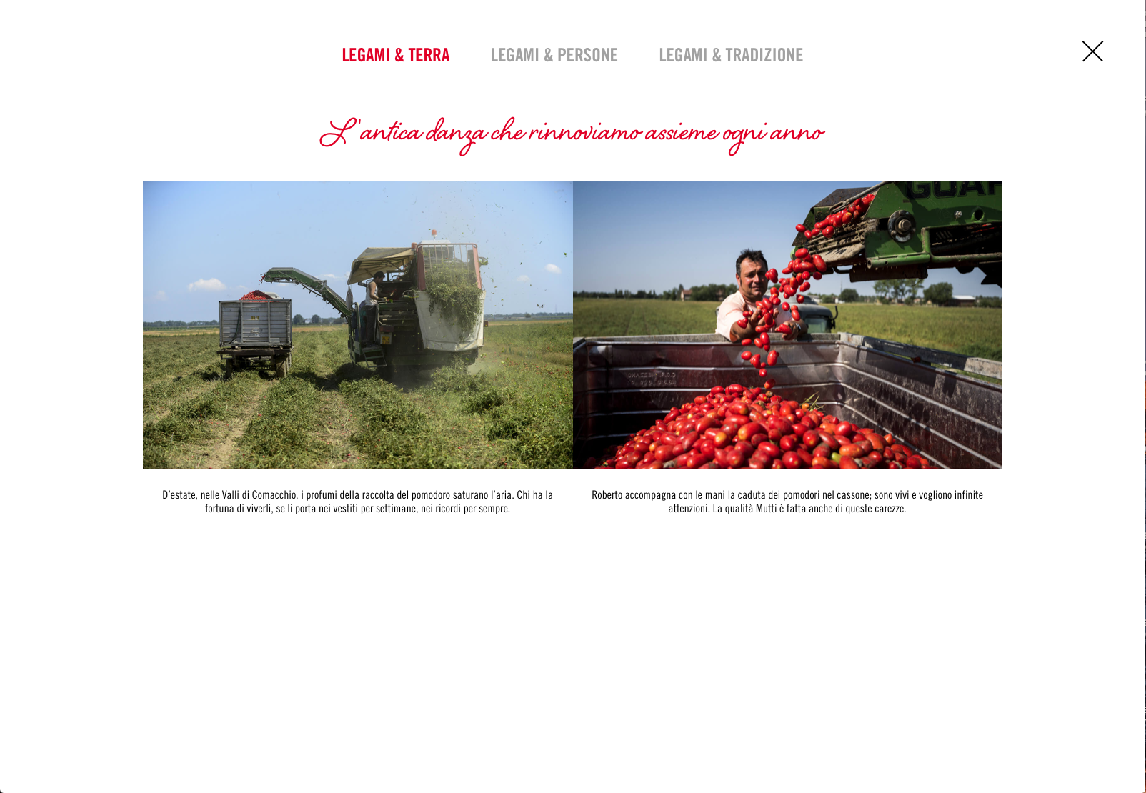 Schermata 2018-03-04 alle 17.55.37.png