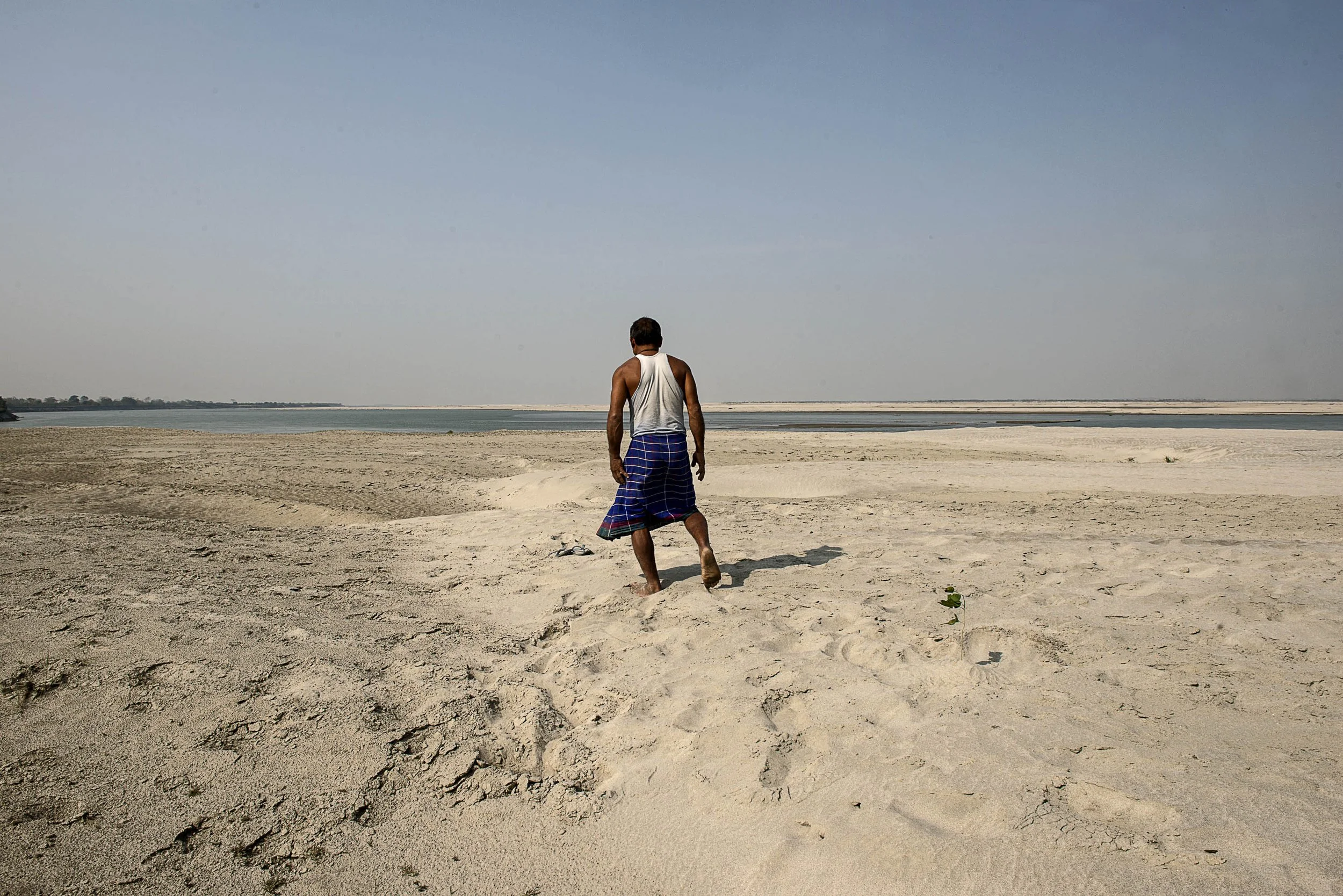 Mulai explores a sandbar on the outskirts of his forest.%0D%0D%0DMulai esplora un banco di sabbia ai margini della sua foresta.jpeg