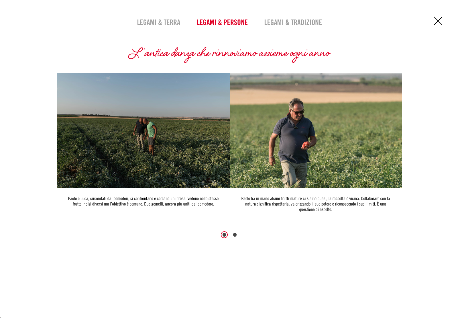 Schermata 2018-03-04 alle 17.58.47.png