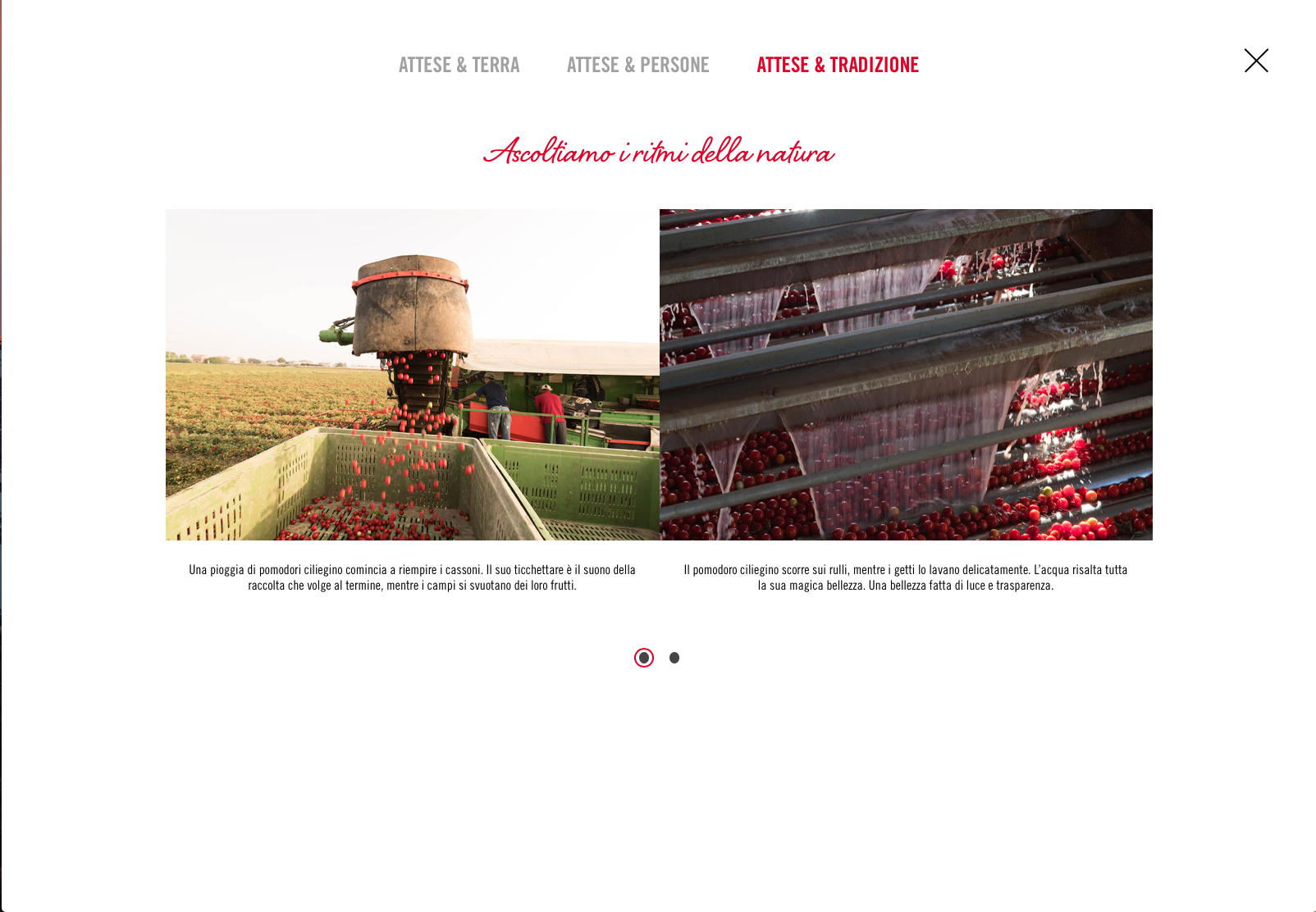 Schermata 2018-03-04 alle 17.48.49.png