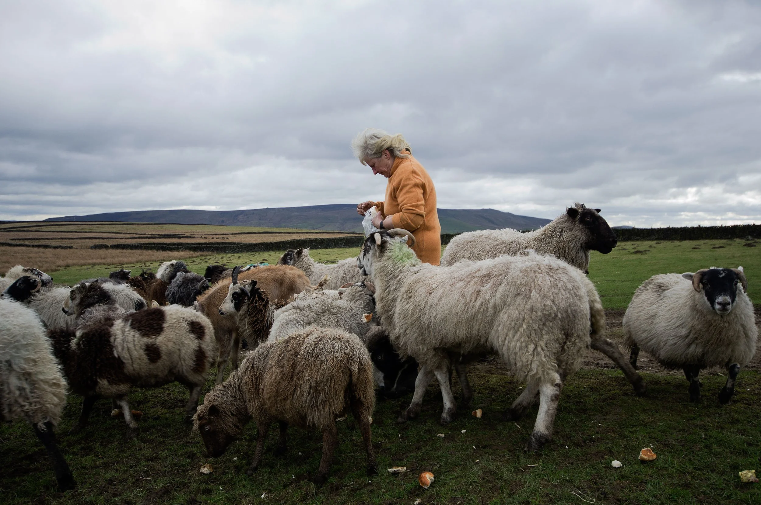 sue A Former Police Woman_Into The Silence(ph_CarloBevilacqua)_2.jpeg