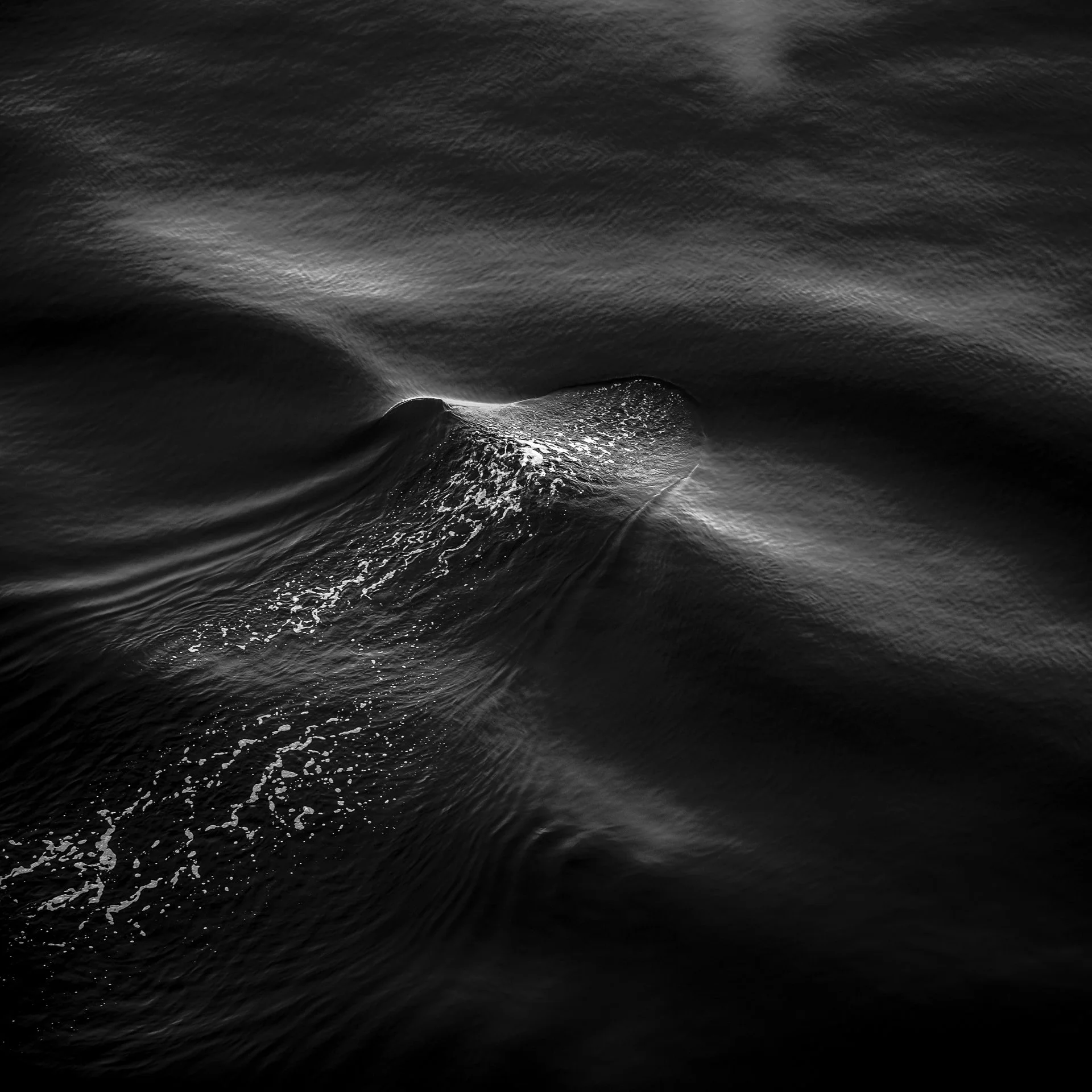 A black and white photo of ocean waves with a whale's tail emerging from the water.