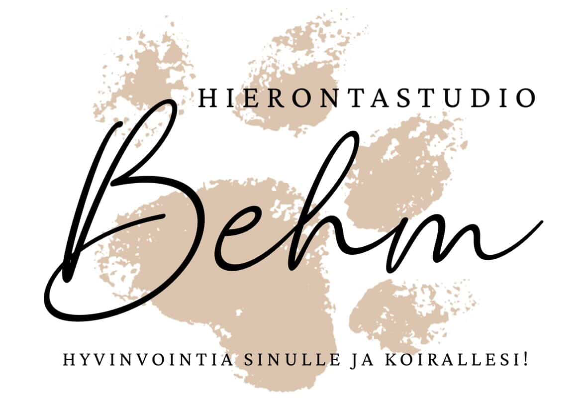 Hierontastudio Behm