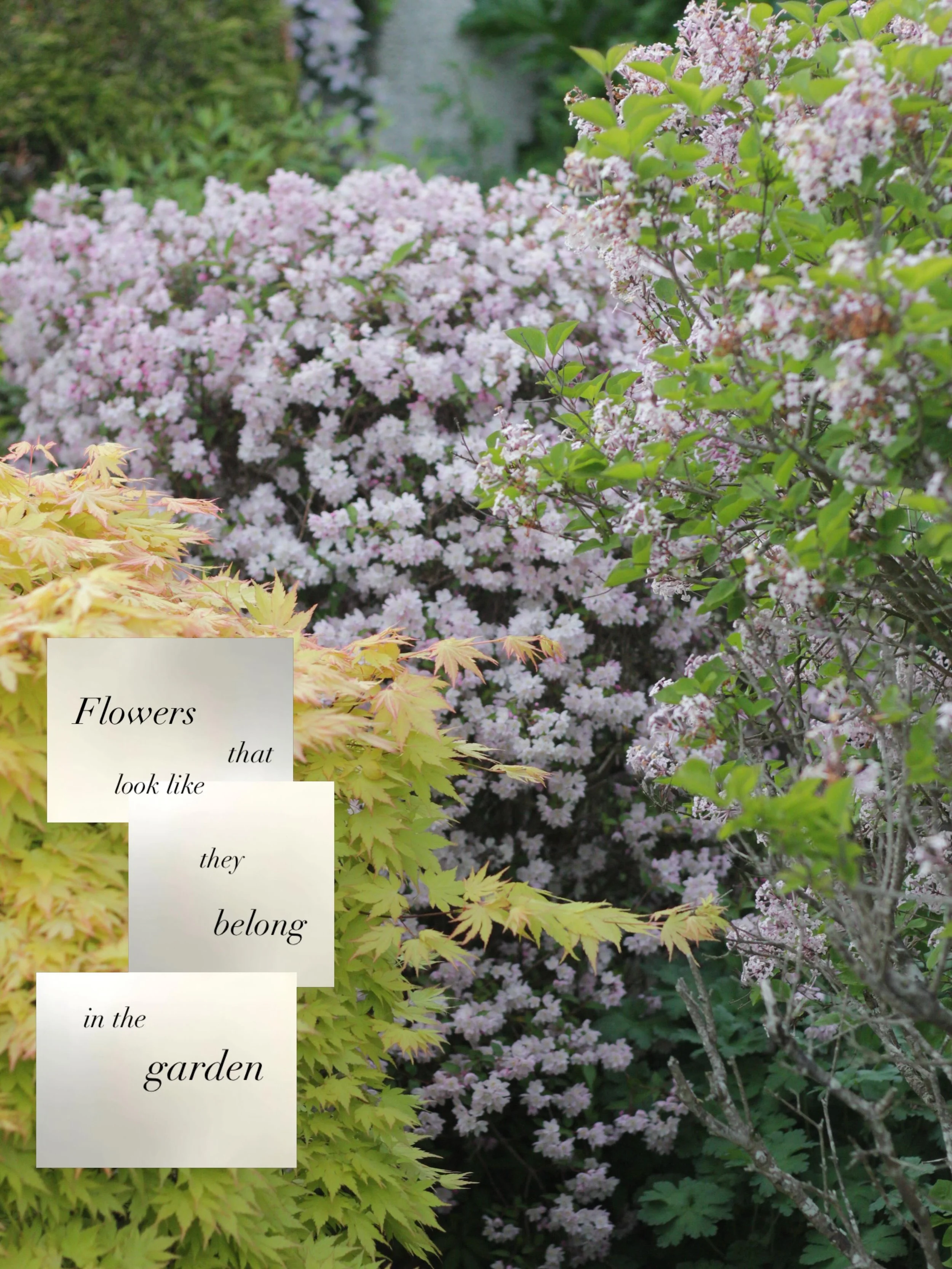 Soonhope&rsquo;s flowers look like they belong in the garden, because they do. A little bit about the sustainable design philosophy behind my wild, natural arrangements.
