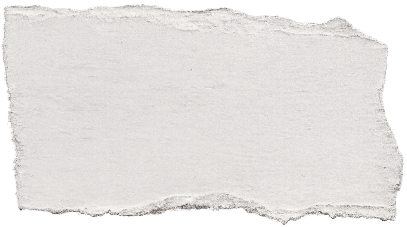 A torn piece of white paper with rough edges.