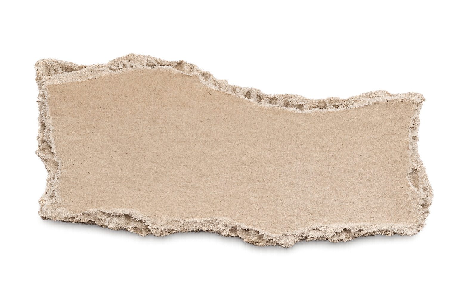 A piece of torn beige paper with rough, uneven edges.