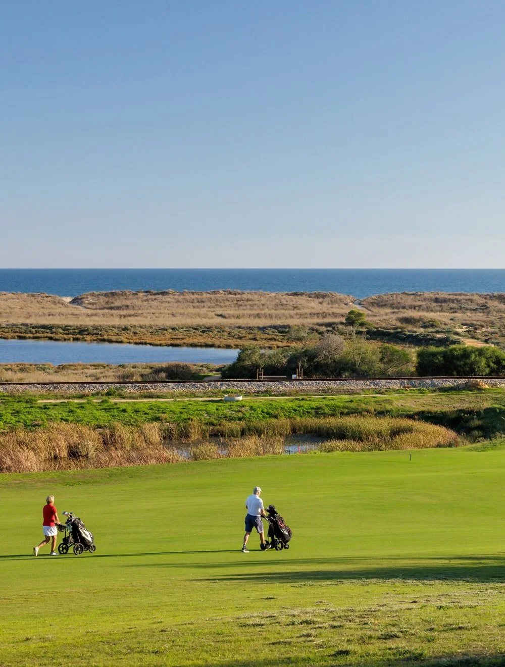 Two people playing golf on a sunny golf course near the coast with grassy fields, bushes, a water body, and the ocean in the background.