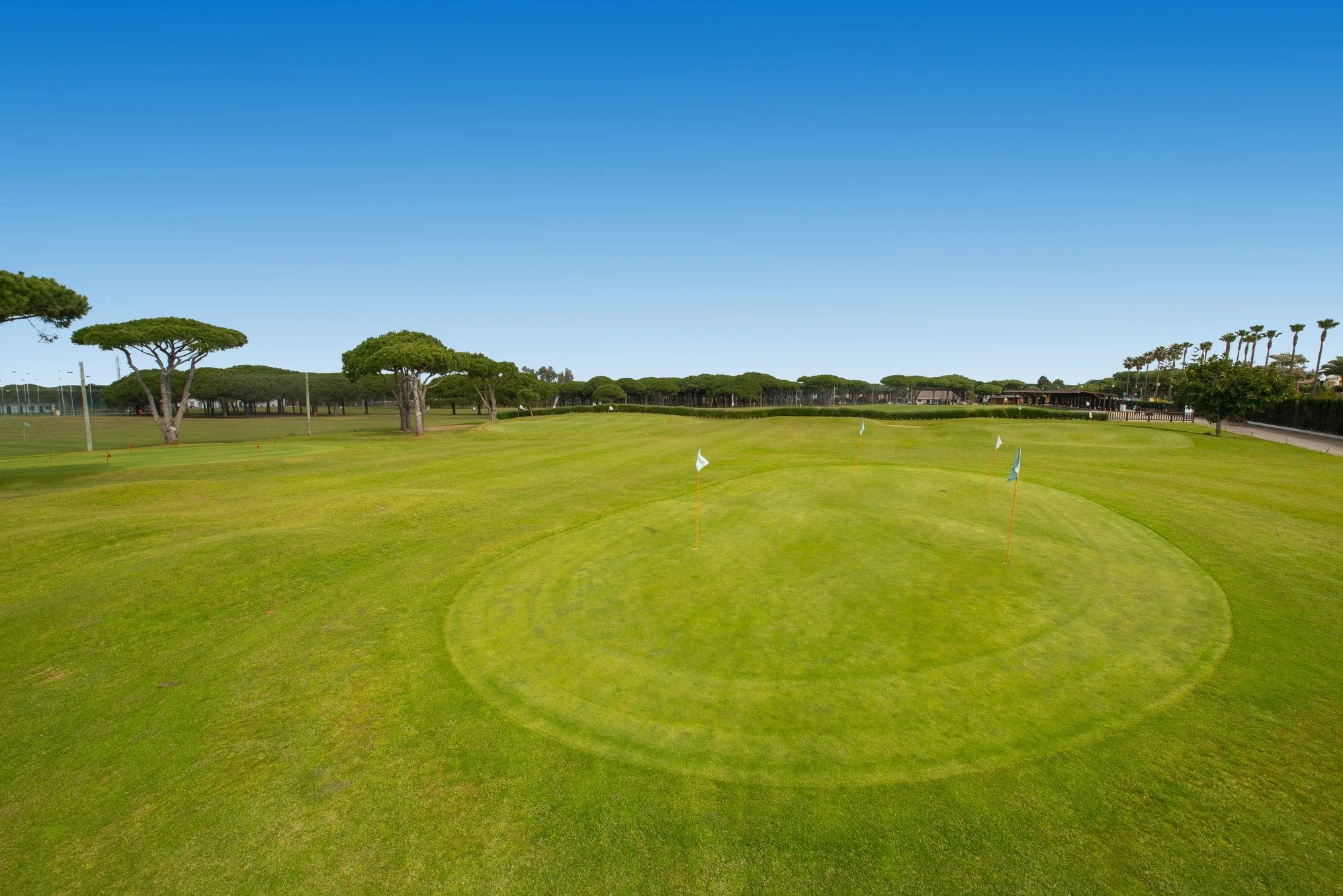 View of a golf course with green grass, small flags, trees, and a clear blue sky.