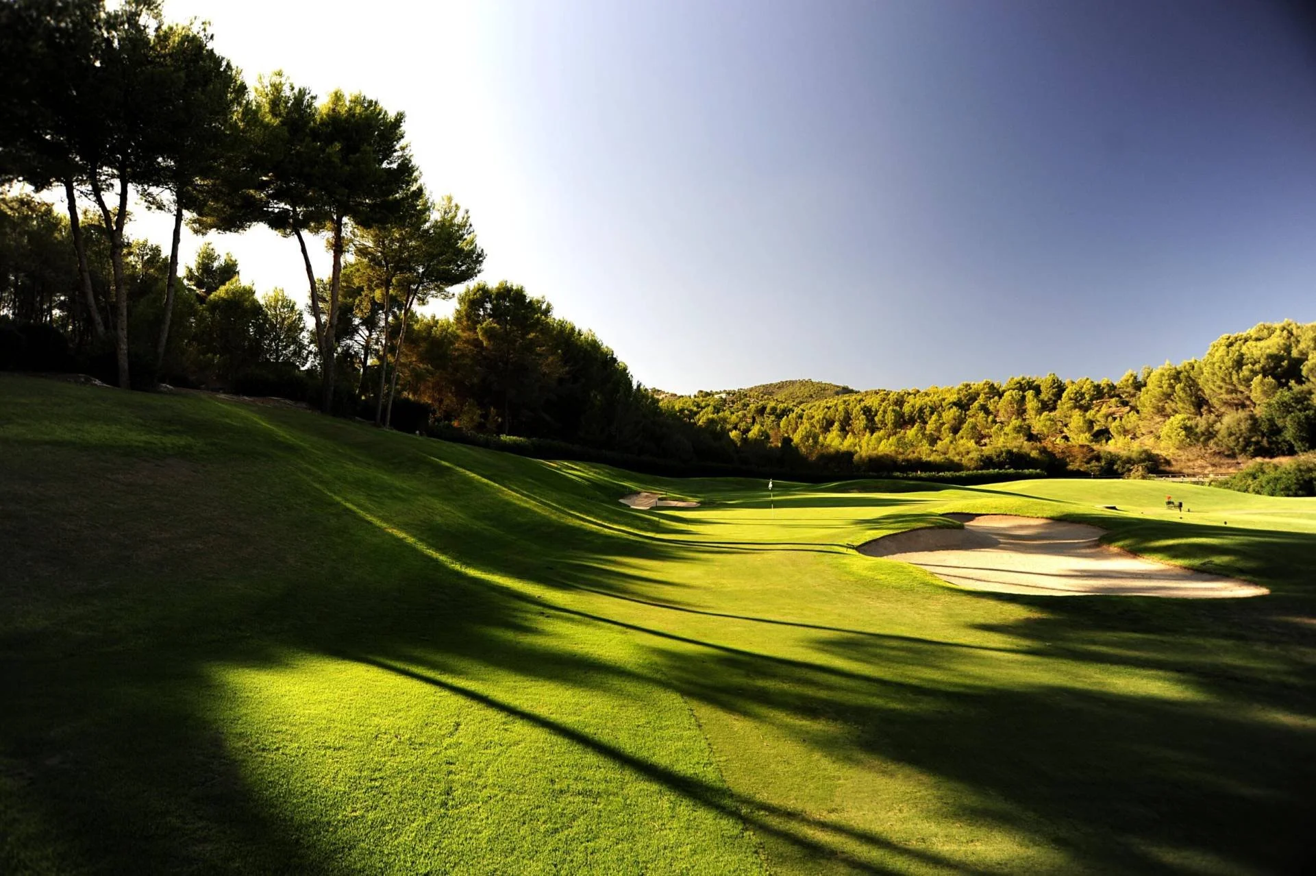 Pine-lined fairway in low evening sun at Son Muntaner, Arabella Golf Mallorca