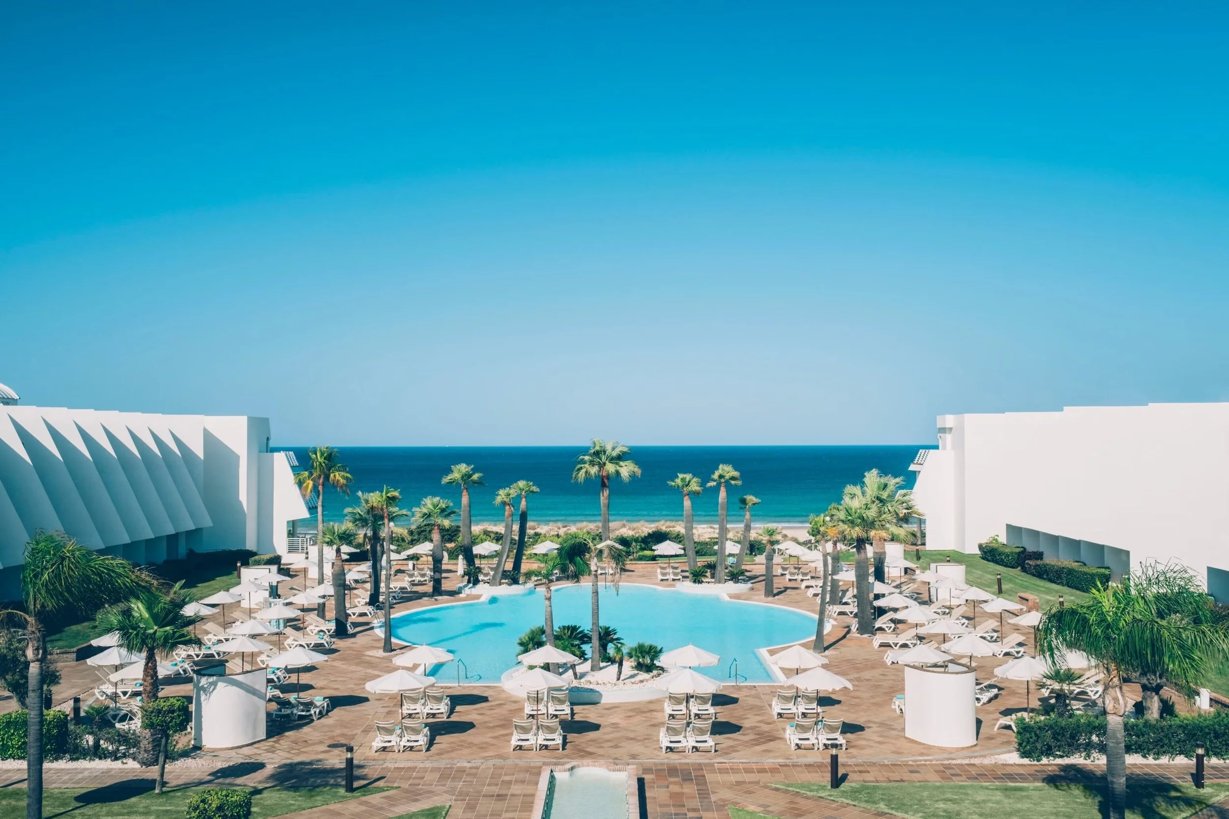 A view of a luxurious resort pool area with white umbrellas and lounge chairs surrounded by palm trees, overlooking the ocean under a clear blue sky.