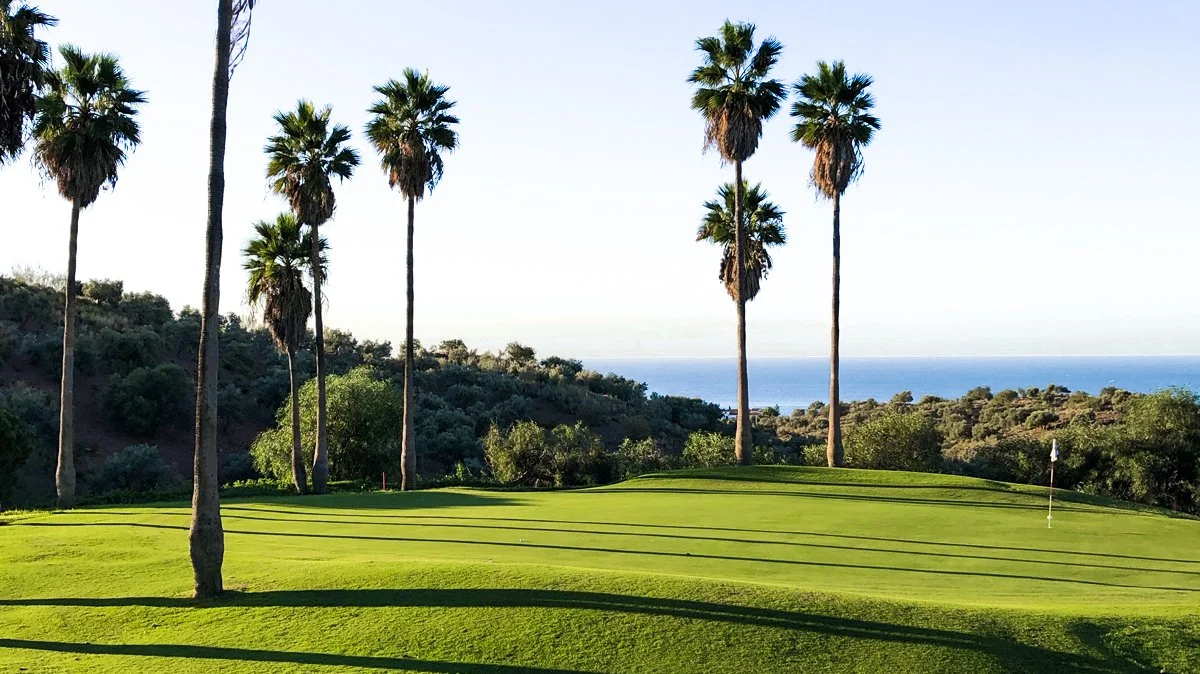 Golf course with green grass, palm trees, and a view of the ocean in the background.