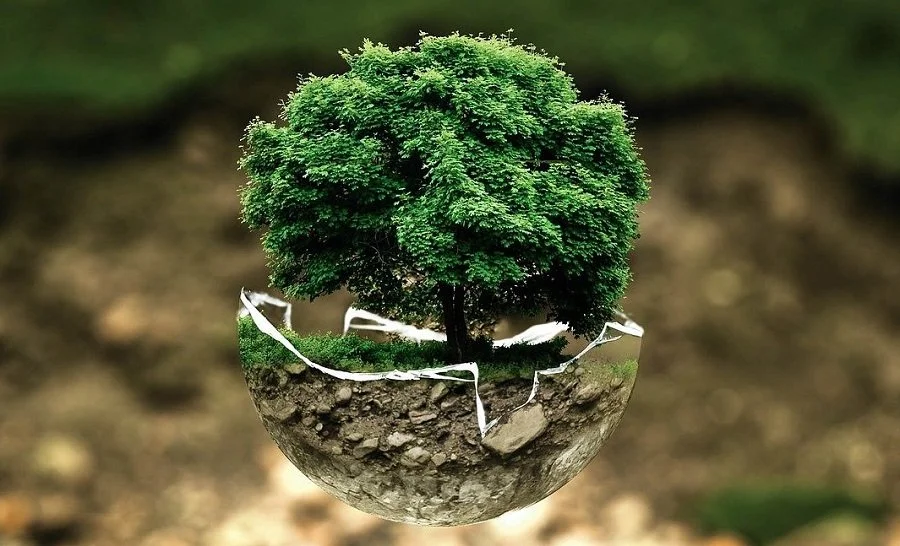 A digitally manipulated image of a green tree growing out of cracked soil on a floating Earth-like sphere.