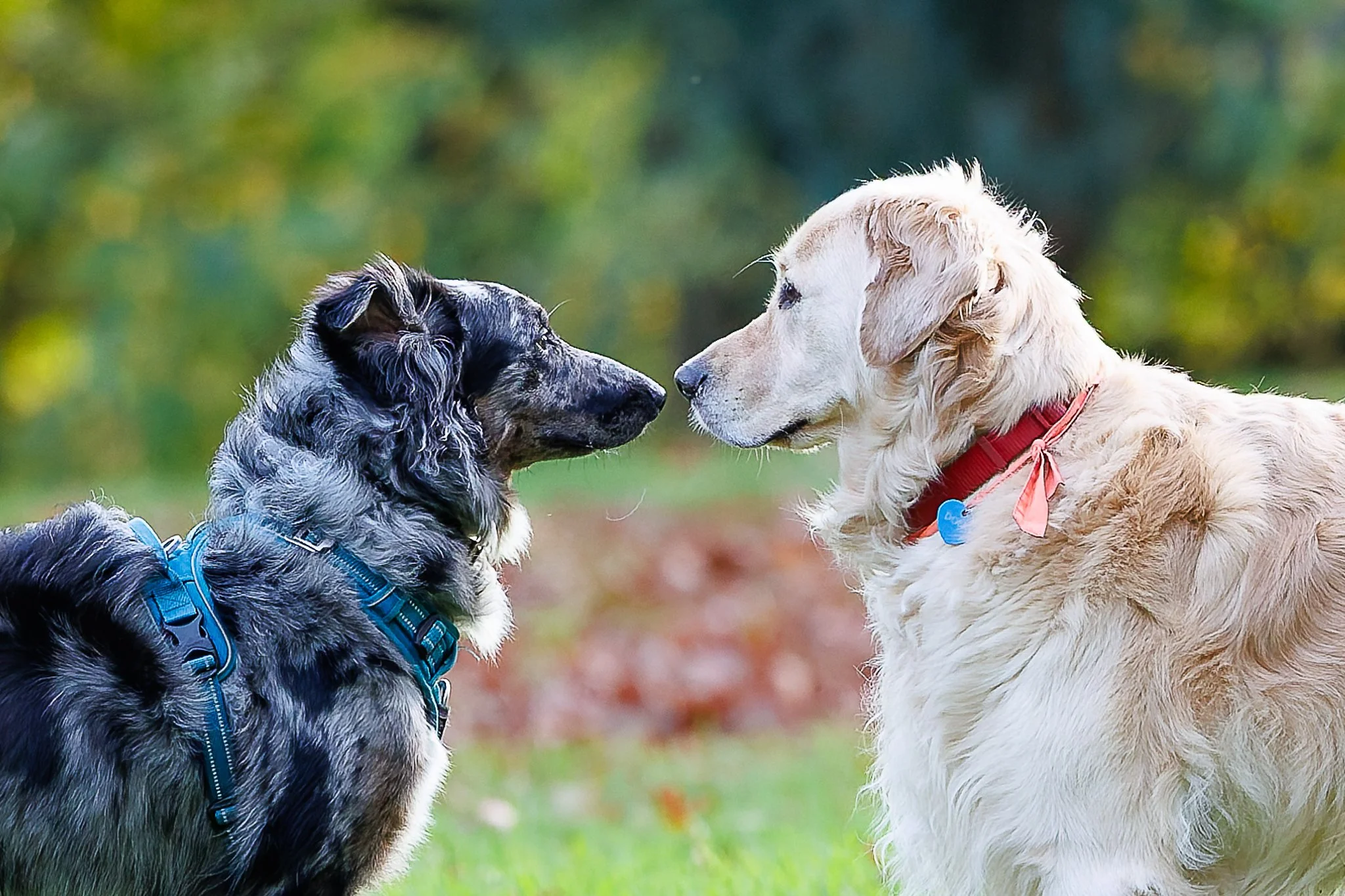 30102025-BU5A1477-DxO_DeepPRIME 3.jpg