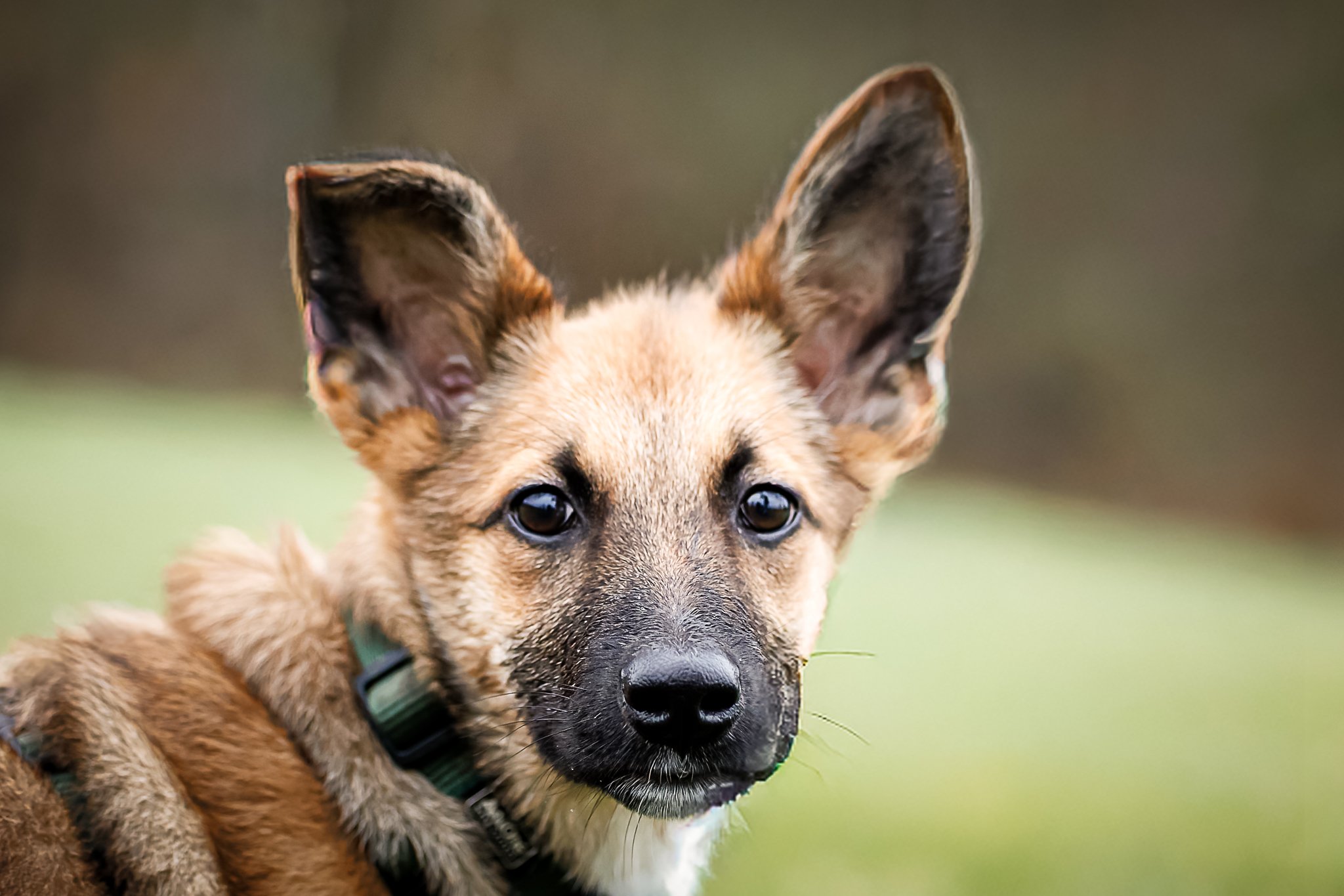 13122025-BU5A3765-DxO_DeepPRIME 3-Modifier.jpg