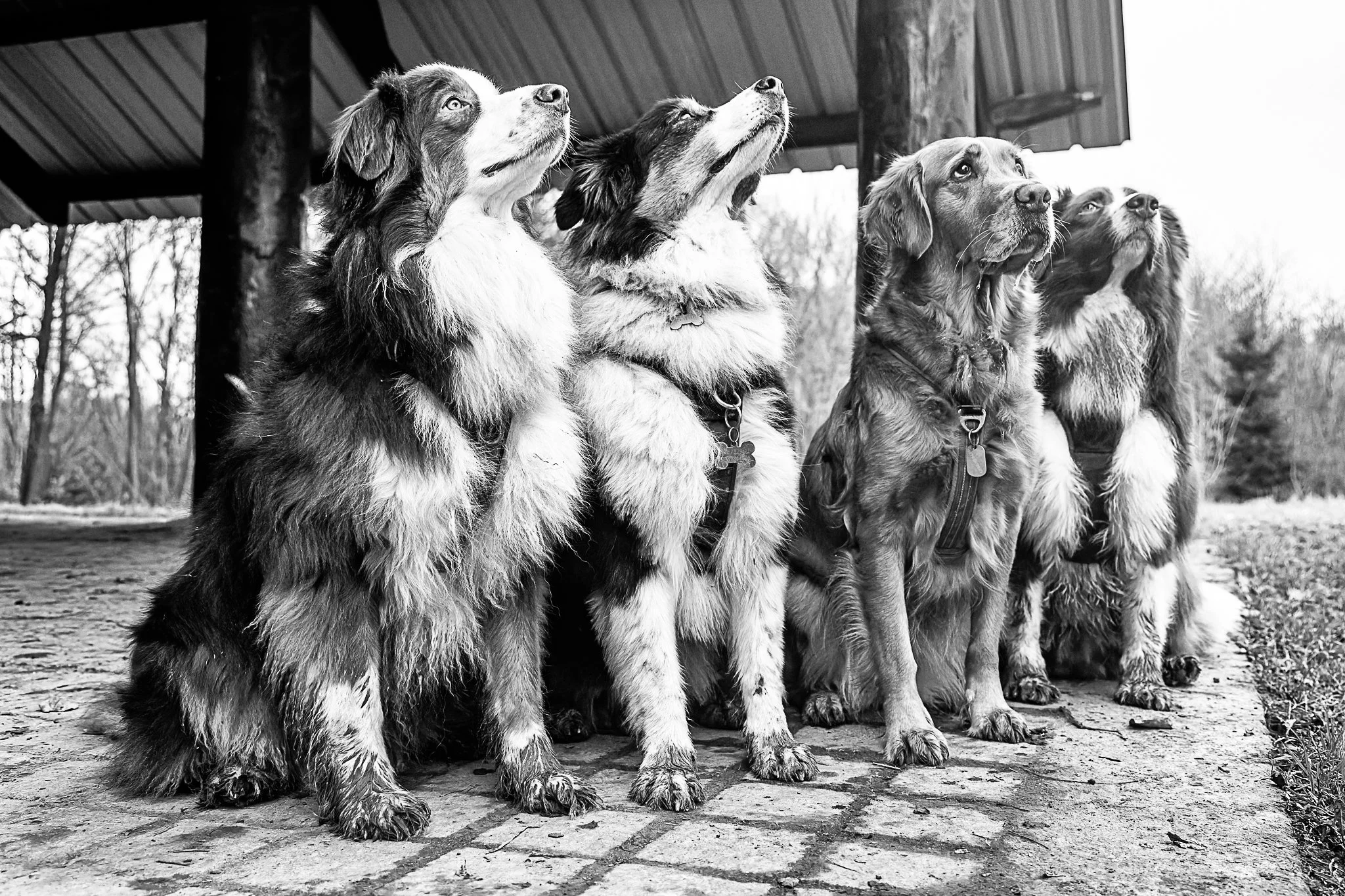 09022025-BU5A7256-DxO_DeepPRIME 3-Modifier-2.jpg